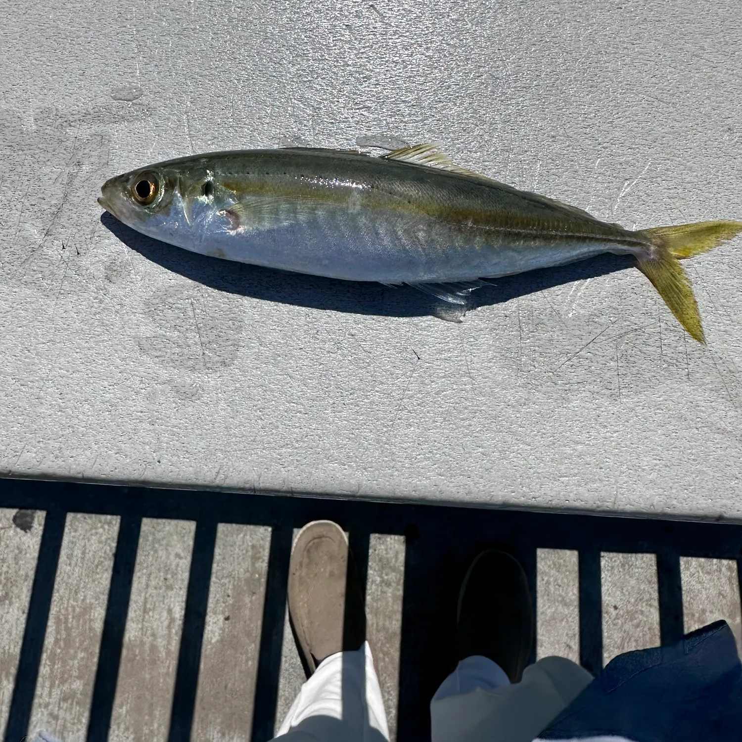 most liked catch image