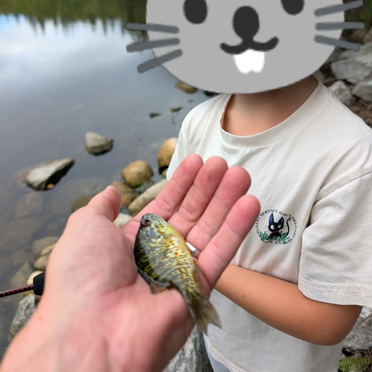 Pumpkinseed caught on Fishbrain