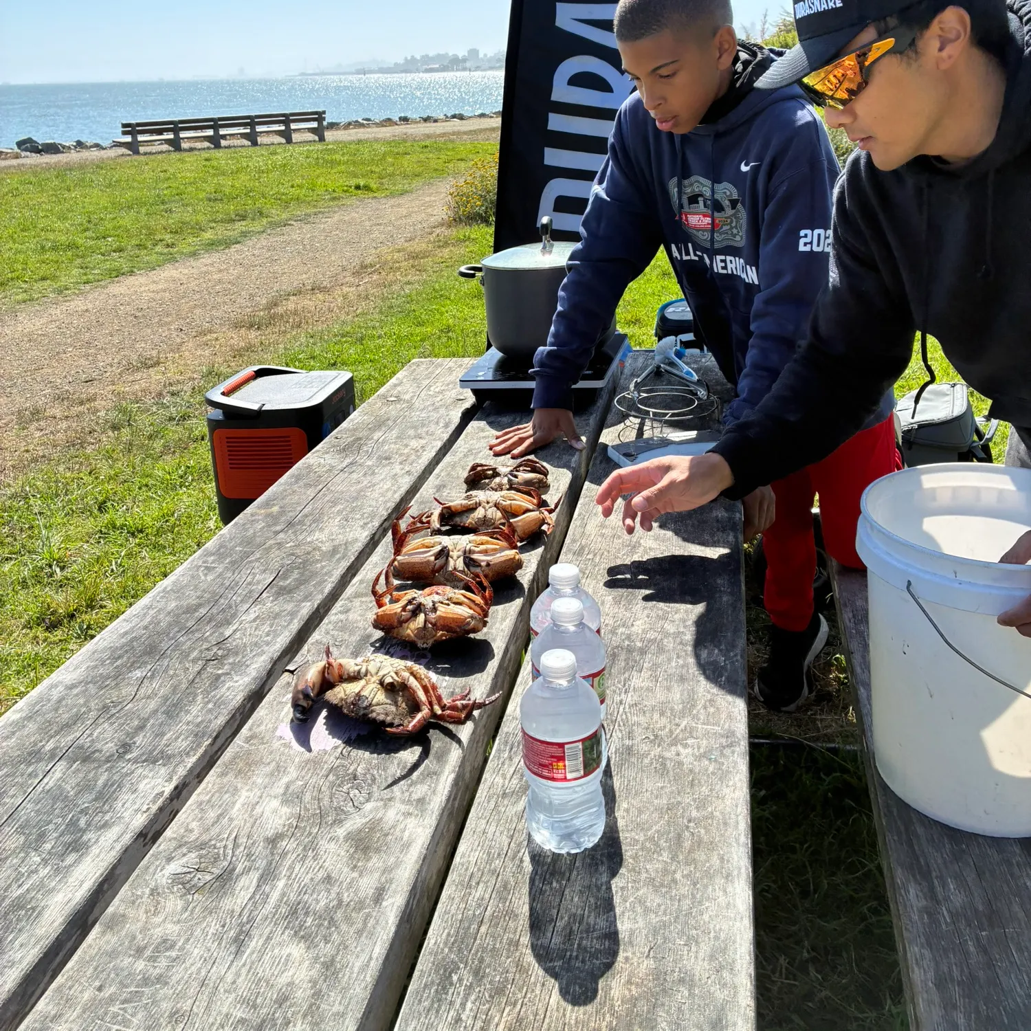 The most recent Red rock crab catches on Fishbrain