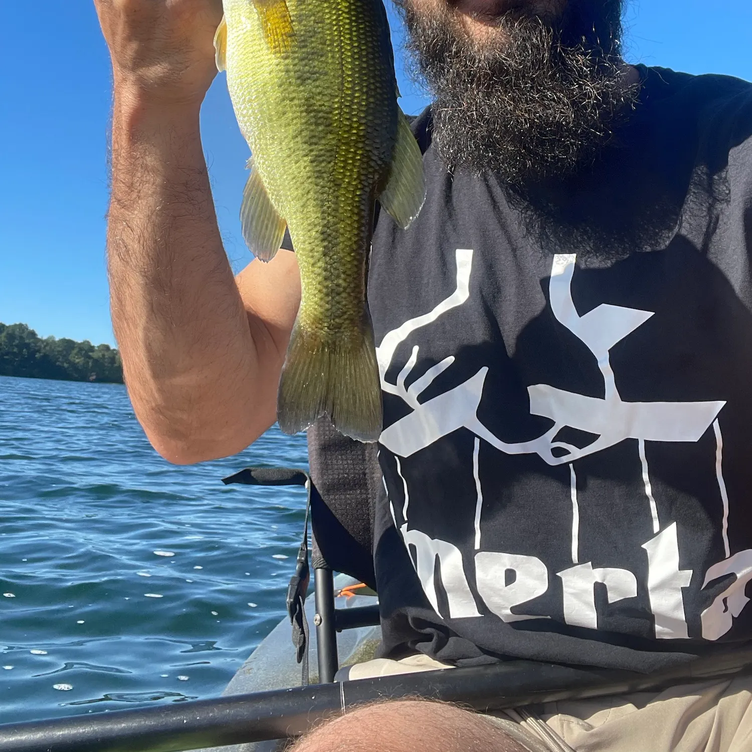 Largemouth bass caught on Fishbrain