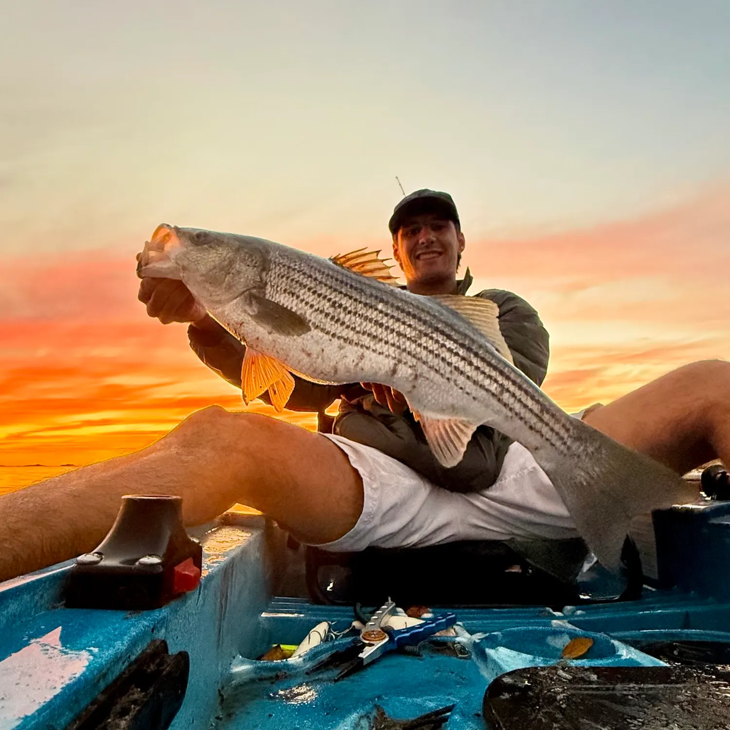 Striped bass caught on Fishbrain