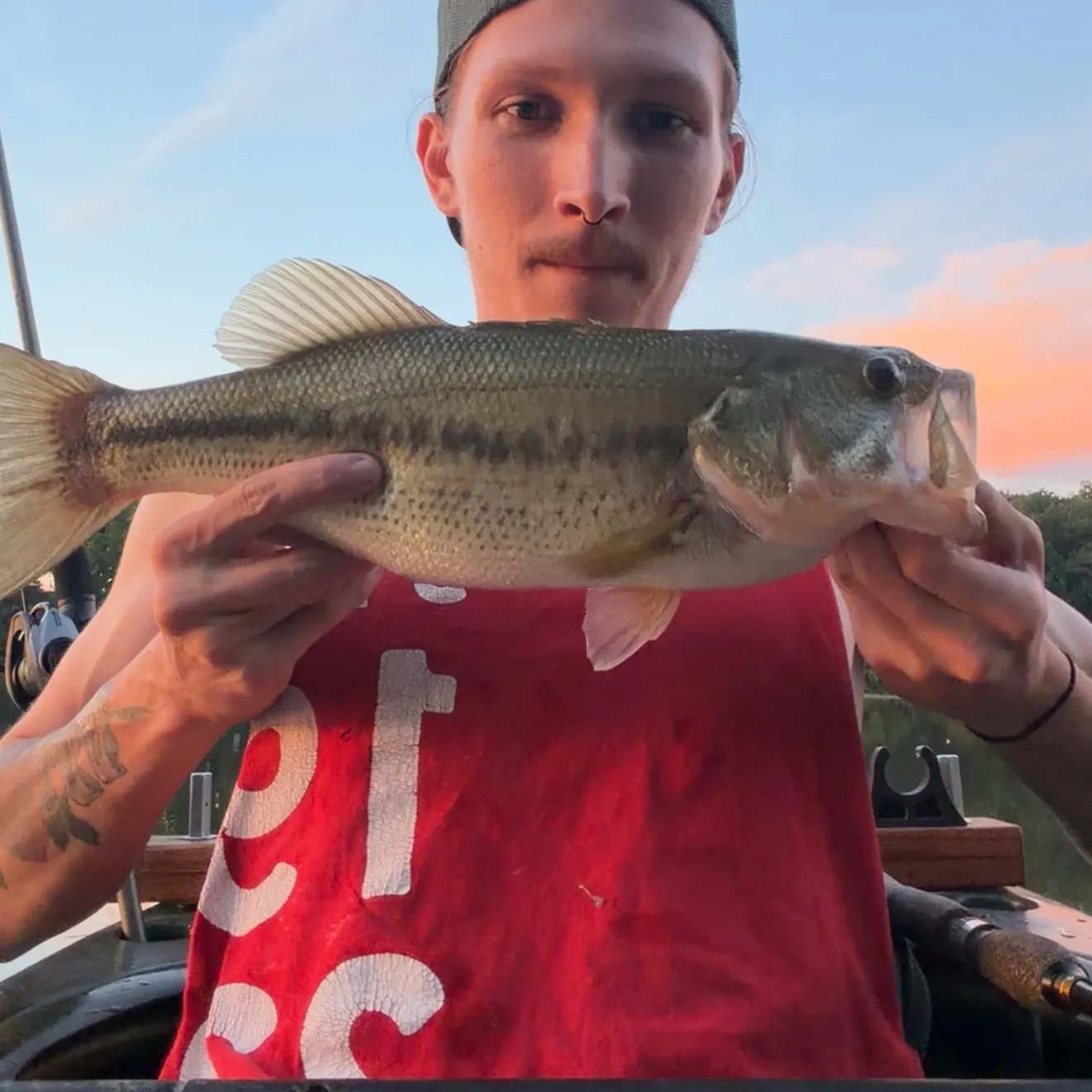 Largemouth bass caught on Fishbrain