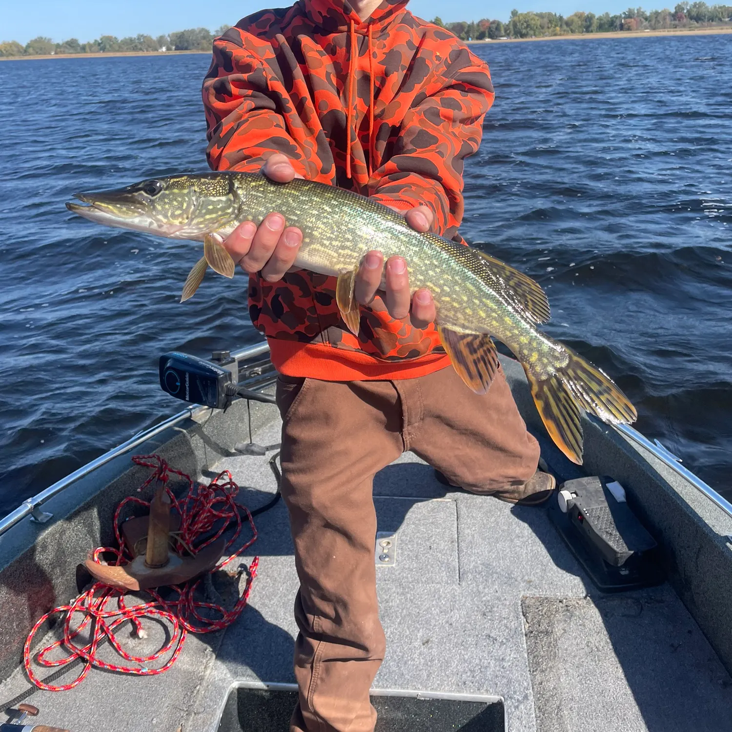 Northern pike caught on Fishbrain