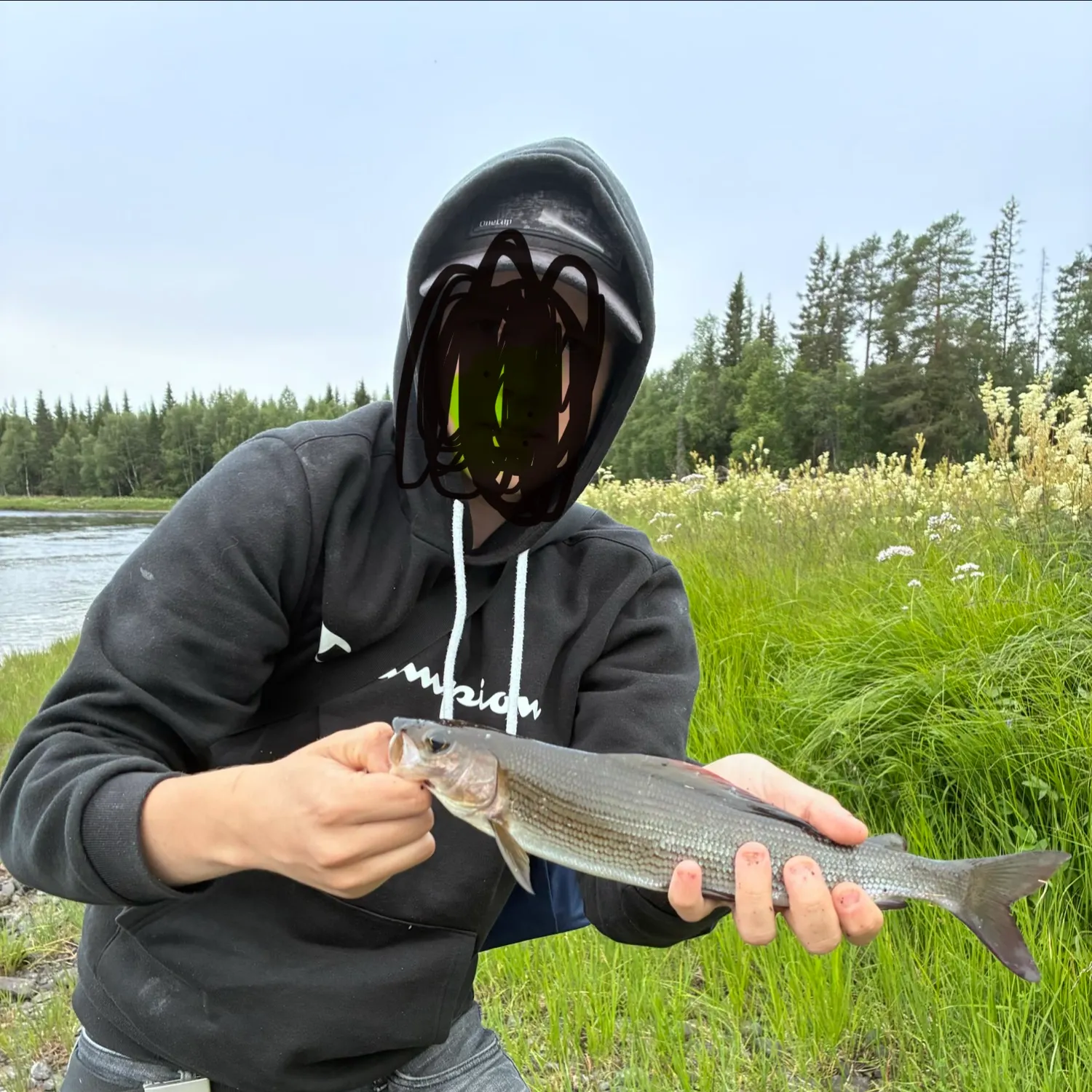 The most recent European grayling catches on Fishbrain