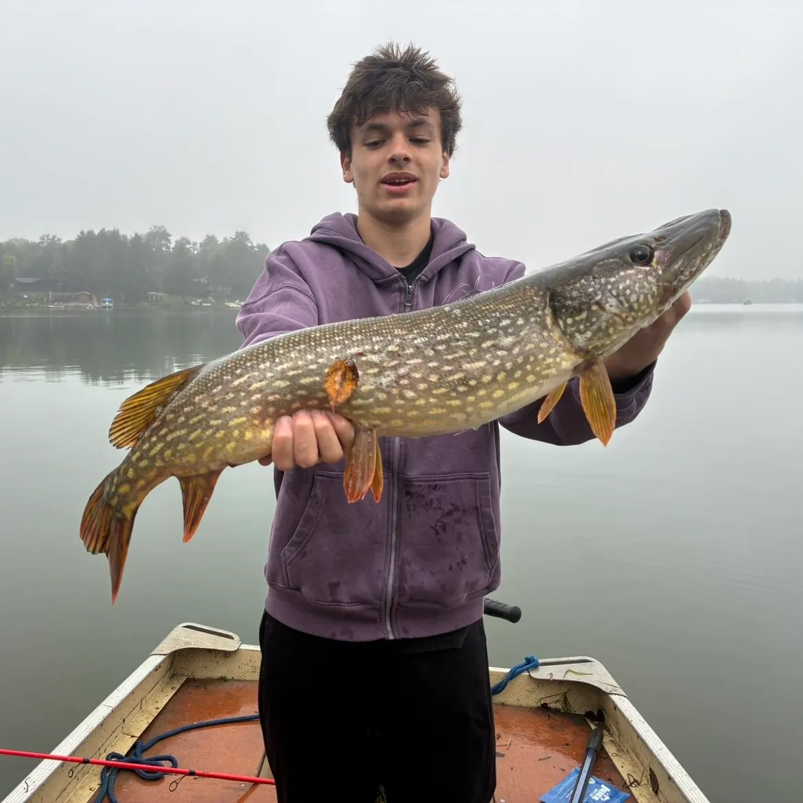 Northern pike caught on Fishbrain