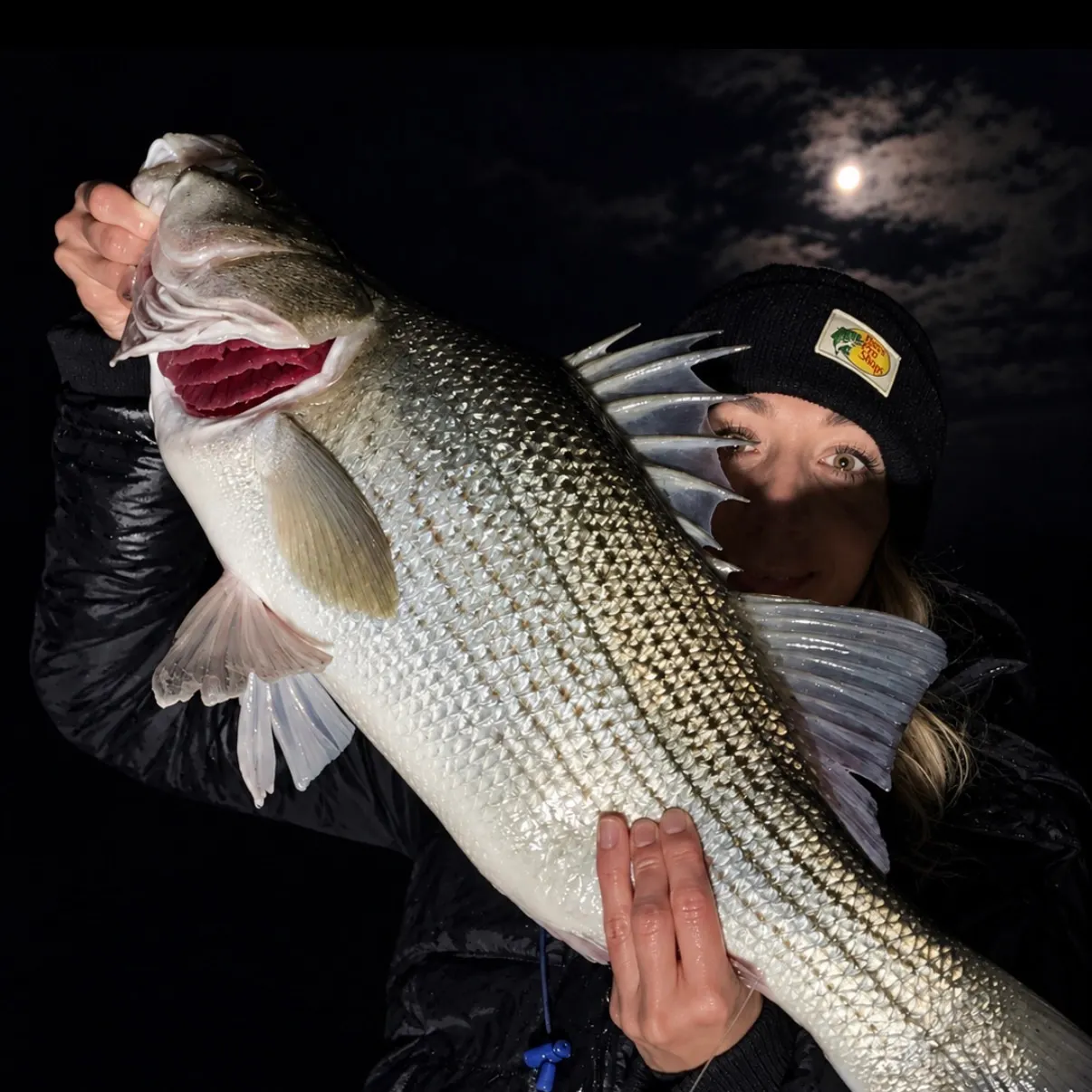 The most recent Wiper catches on Fishbrain