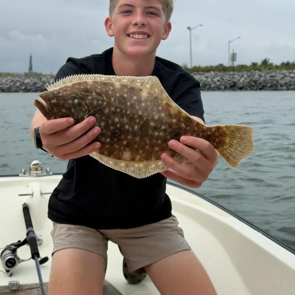 Summer flounder caught on Fishbrain