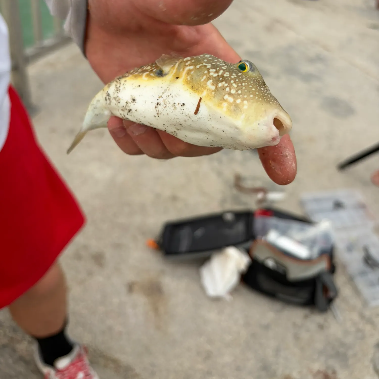 catch