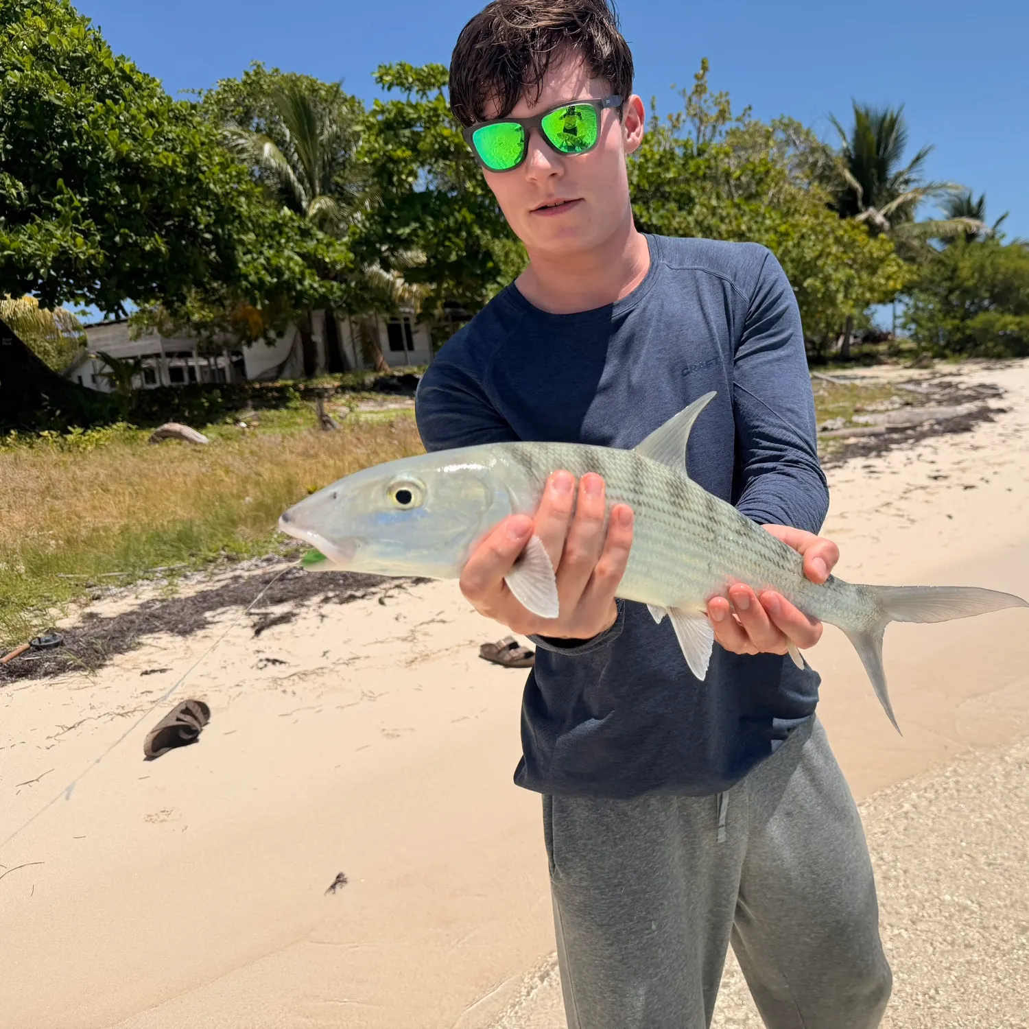 The most recent West Atlantic bonefish catches on Fishbrain