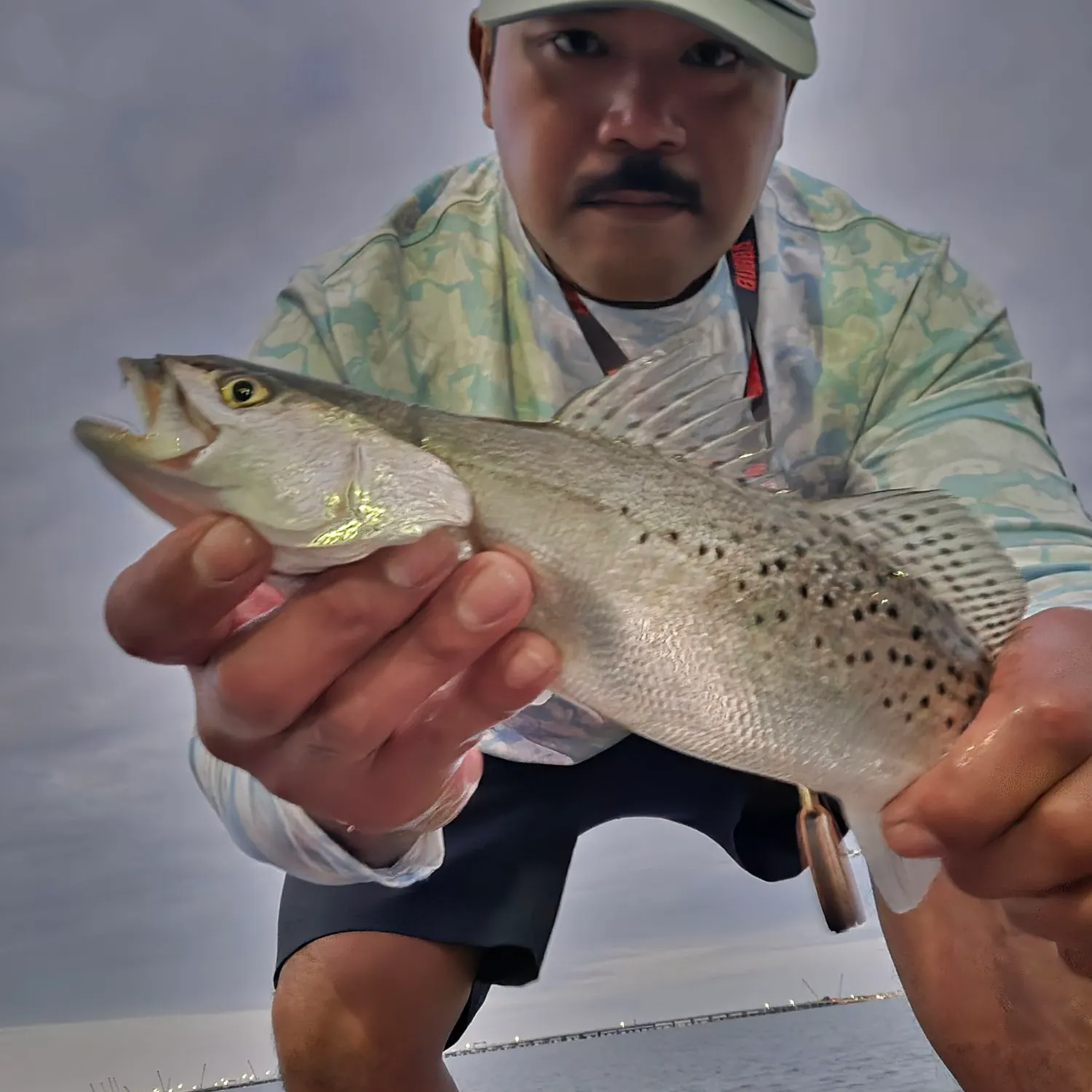 Spotted seatrout caught on Fishbrain