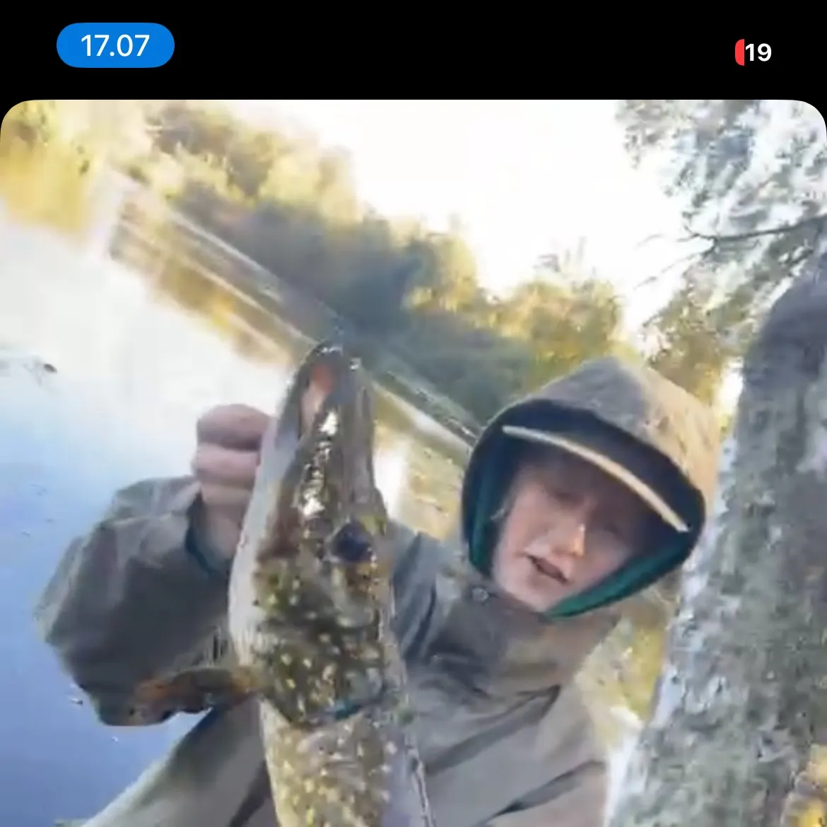 Northern pike caught on Fishbrain