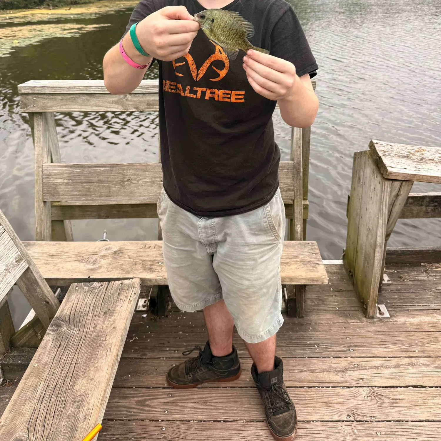 Fish caught on Fishbrain