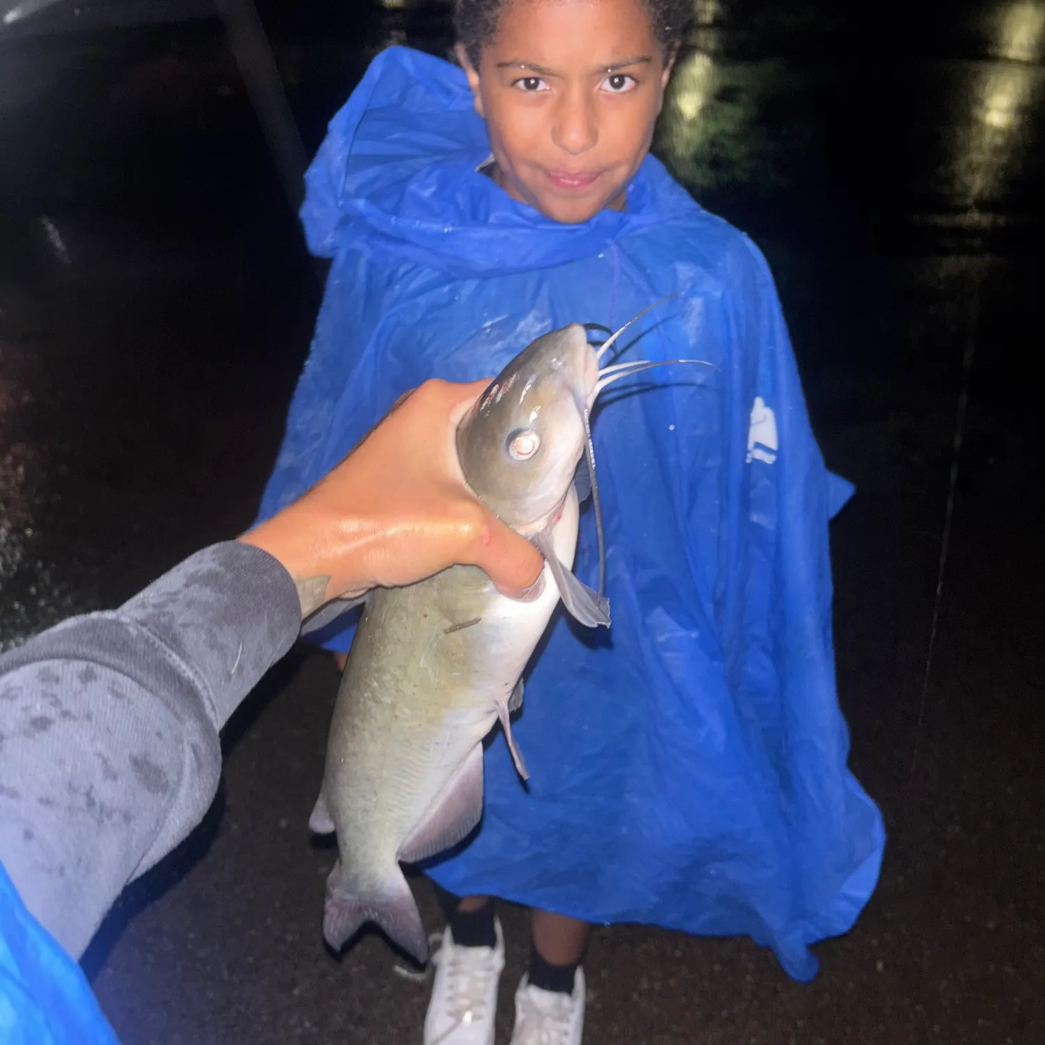 Channel catfish caught on Fishbrain