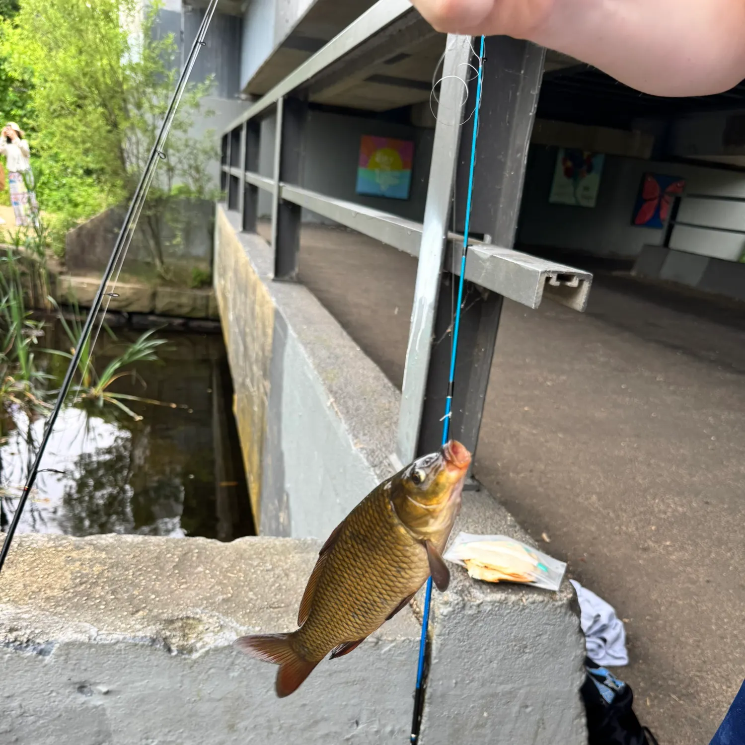catch