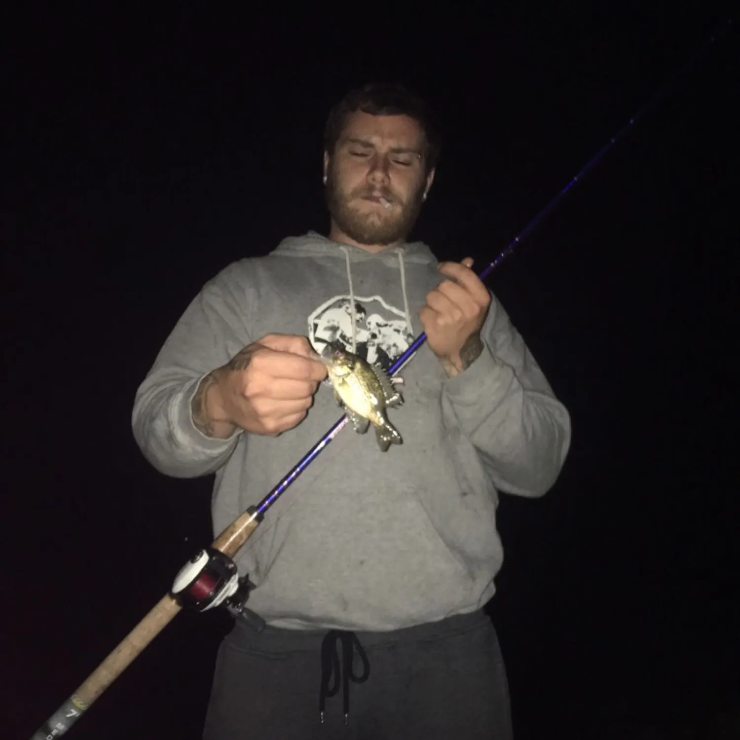 Rock bass caught on Fishbrain