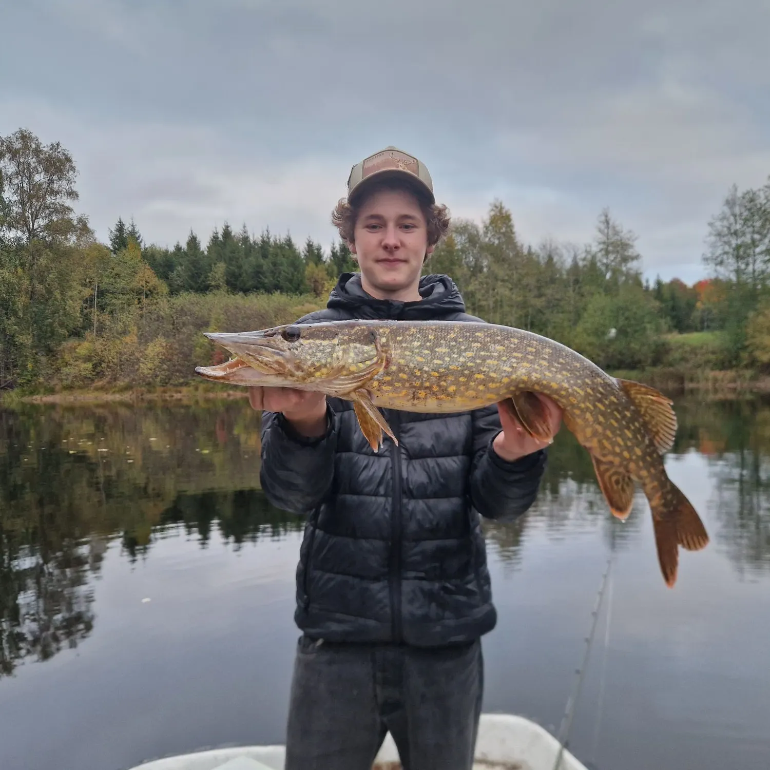 Northern pike caught on Fishbrain