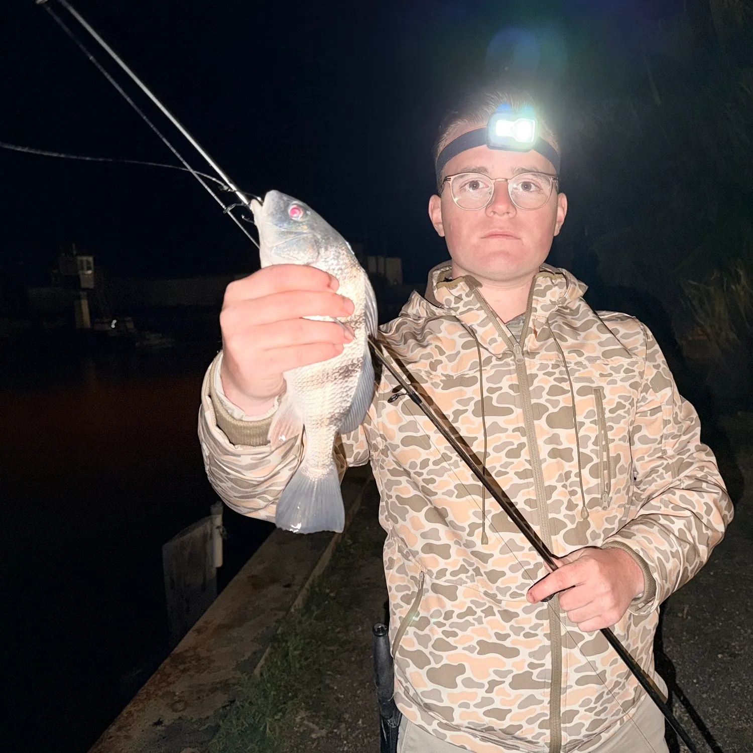 Black drum caught on Fishbrain