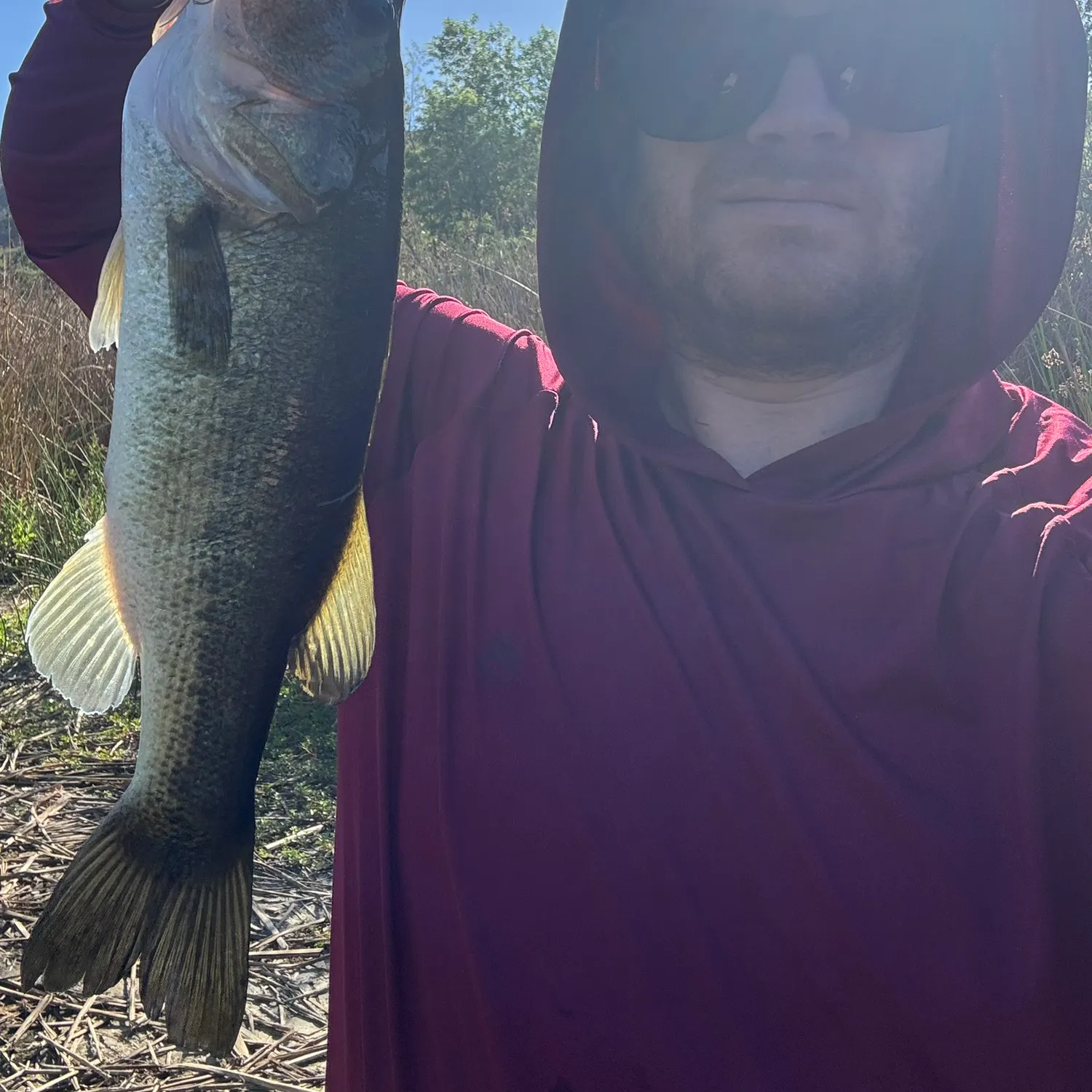 Largemouth bass caught on Fishbrain