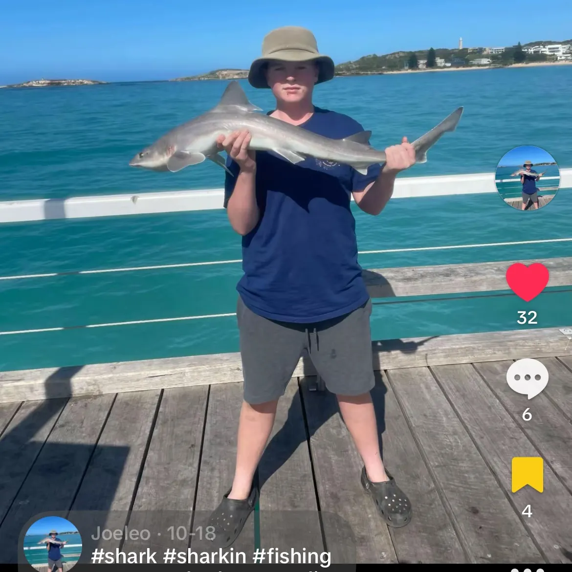 The most recent Gummy shark catches on Fishbrain