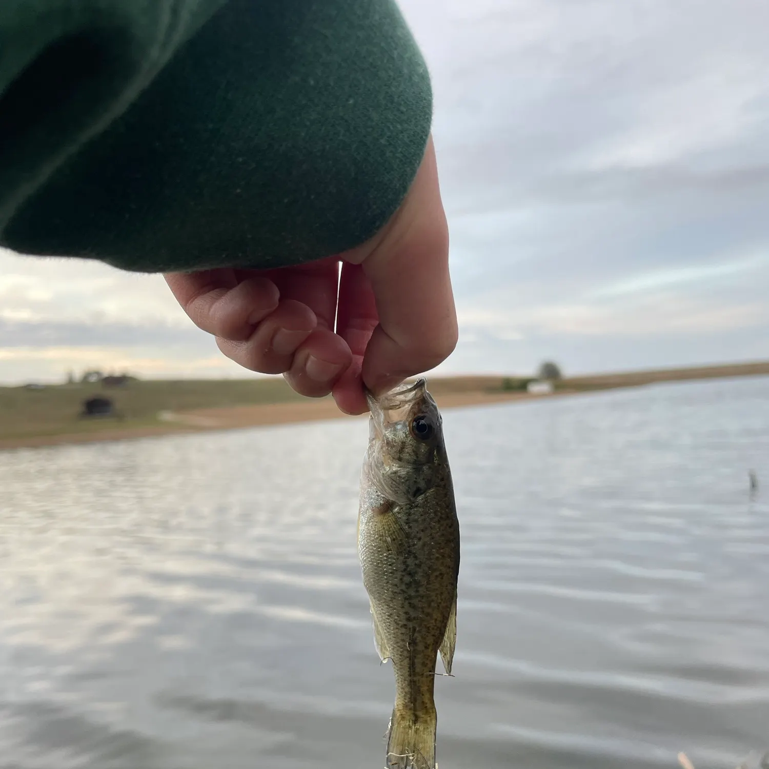 Fish caught on Fishbrain