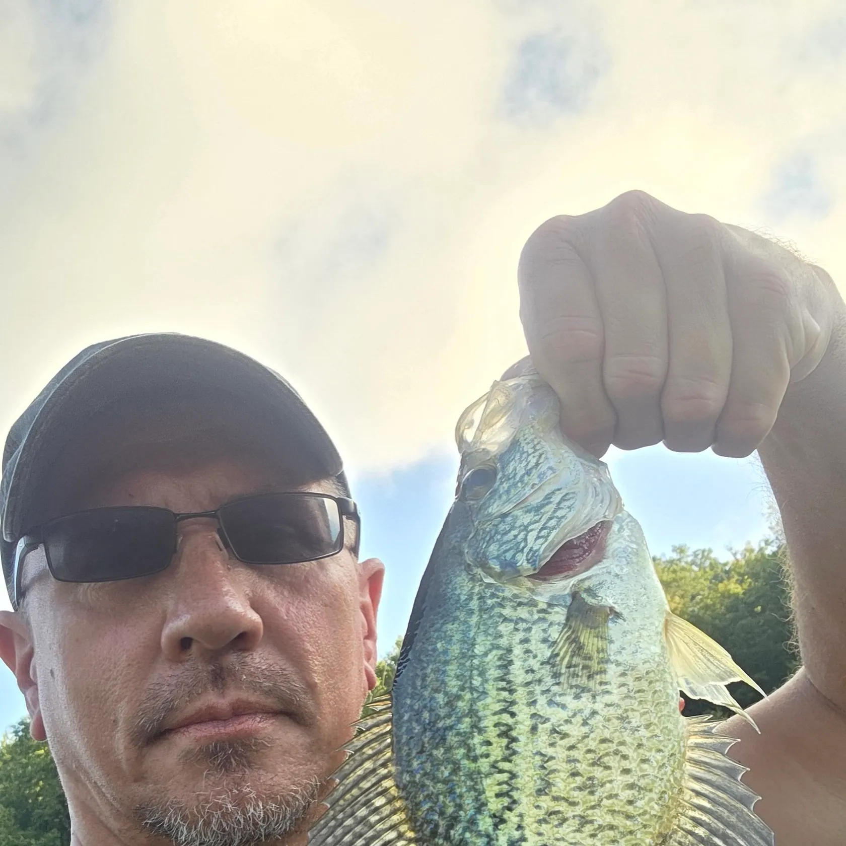 Black crappie caught on Fishbrain