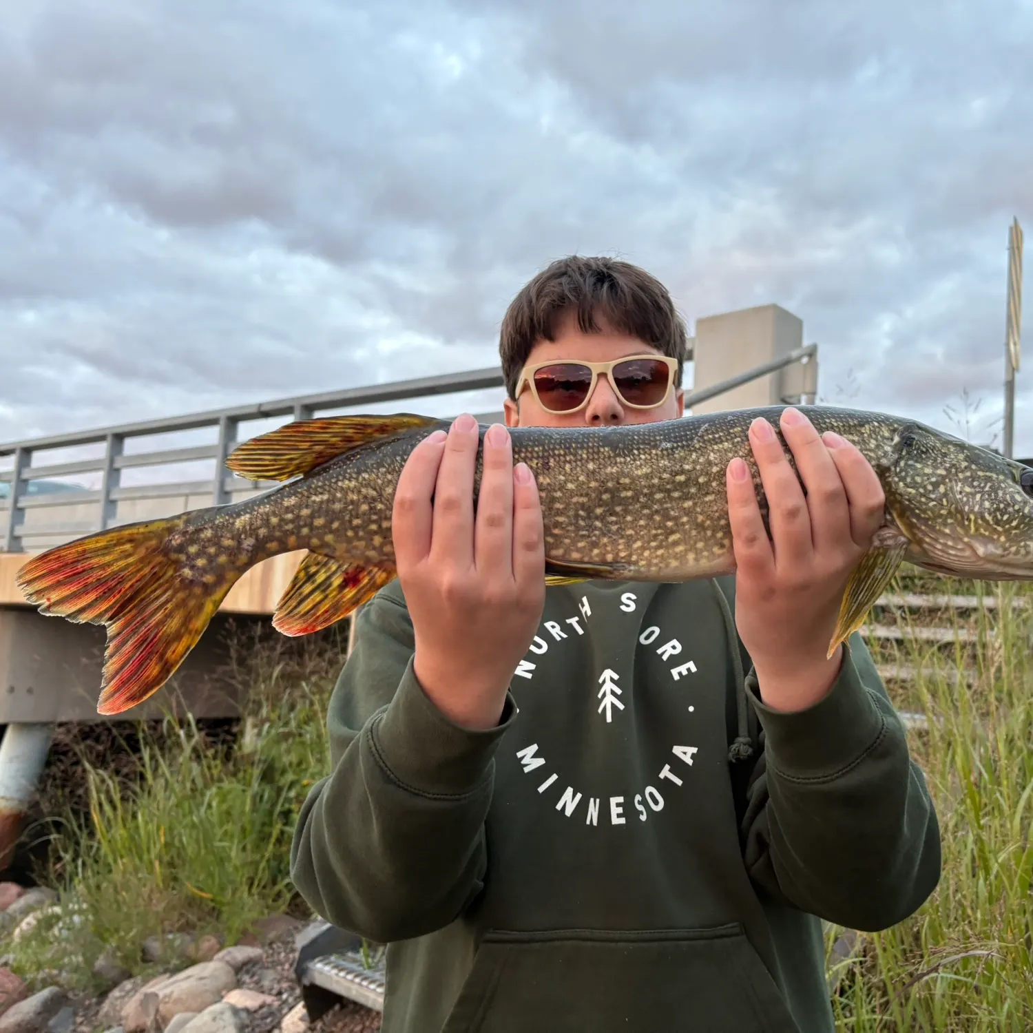 Northern pike caught on Fishbrain