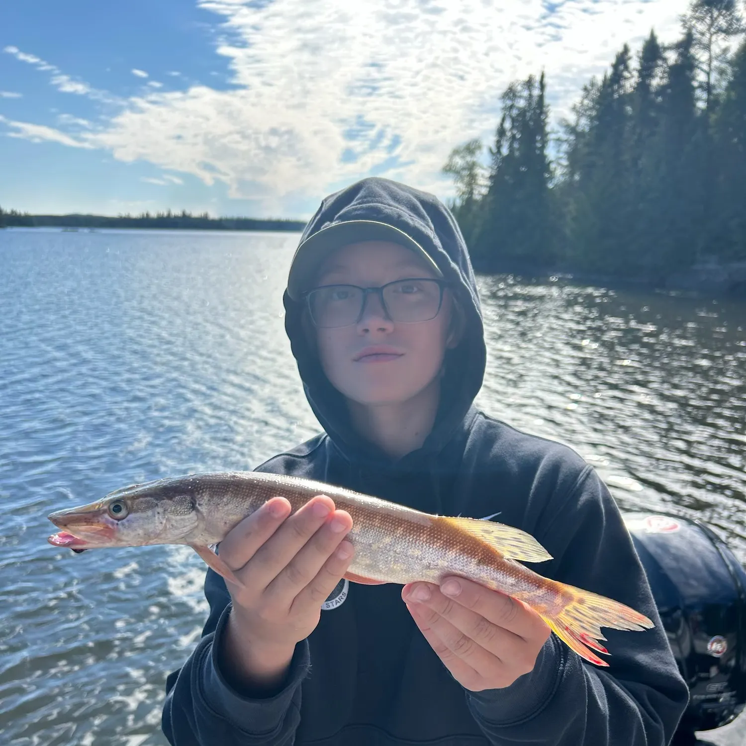 Northern pike caught on Fishbrain