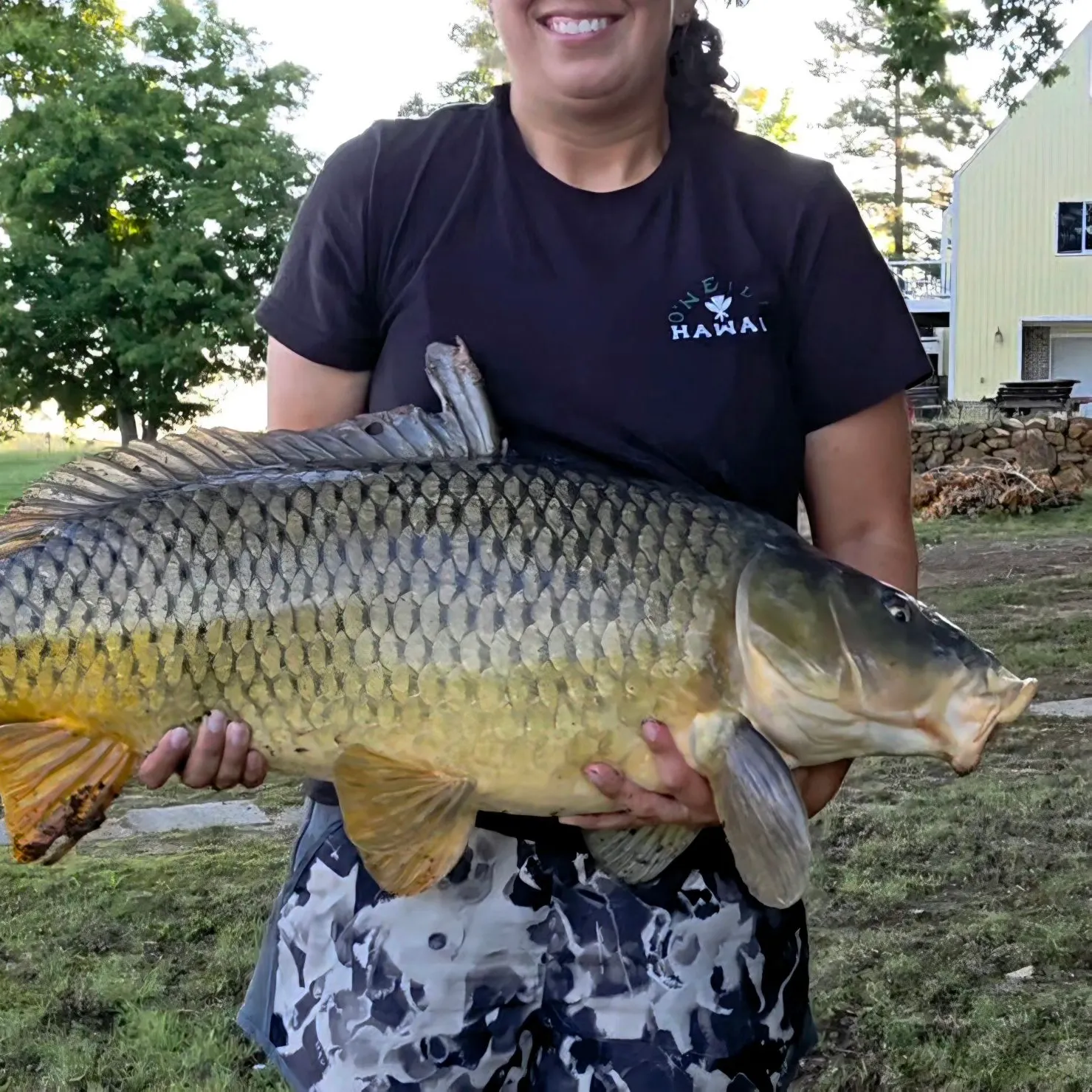 Common carp caught on Fishbrain
