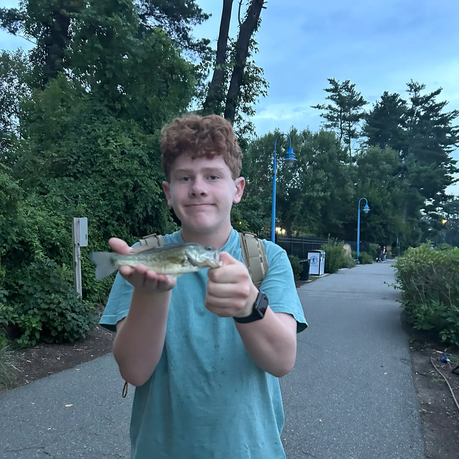 catch