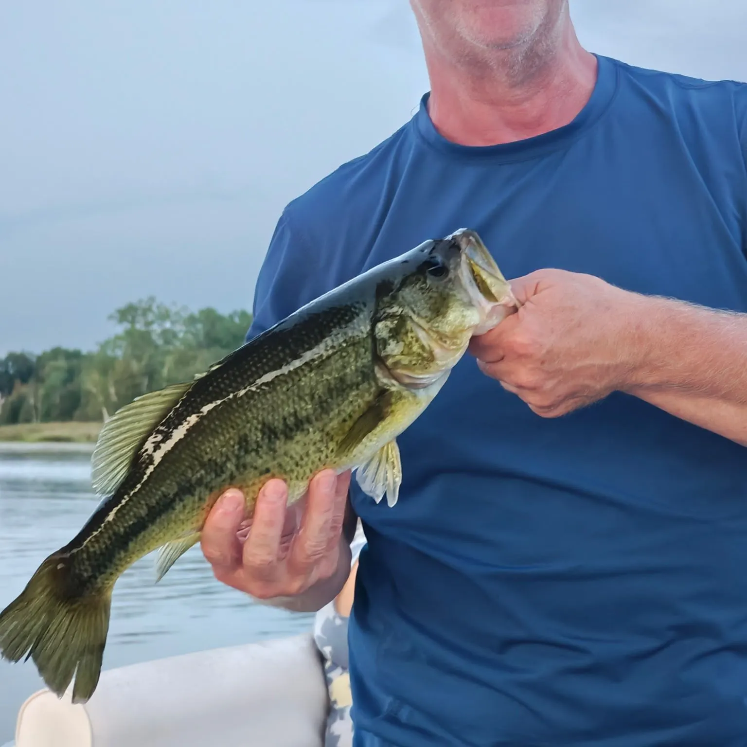 Fish caught on Fishbrain