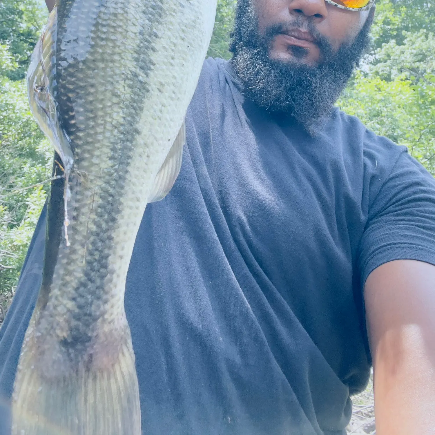 angler catch