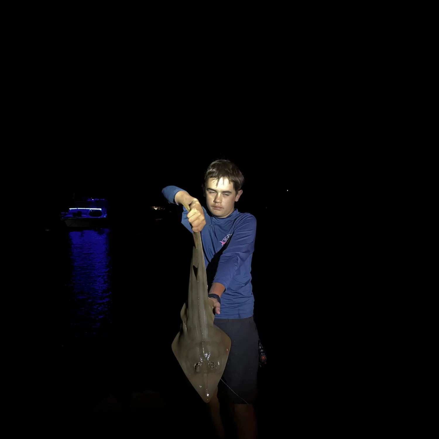 The most recent Pacific shovelnose guitarfish catches on Fishbrain