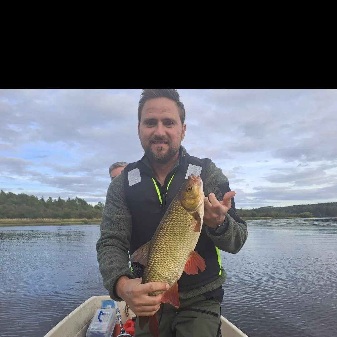 Ide caught on Fishbrain
