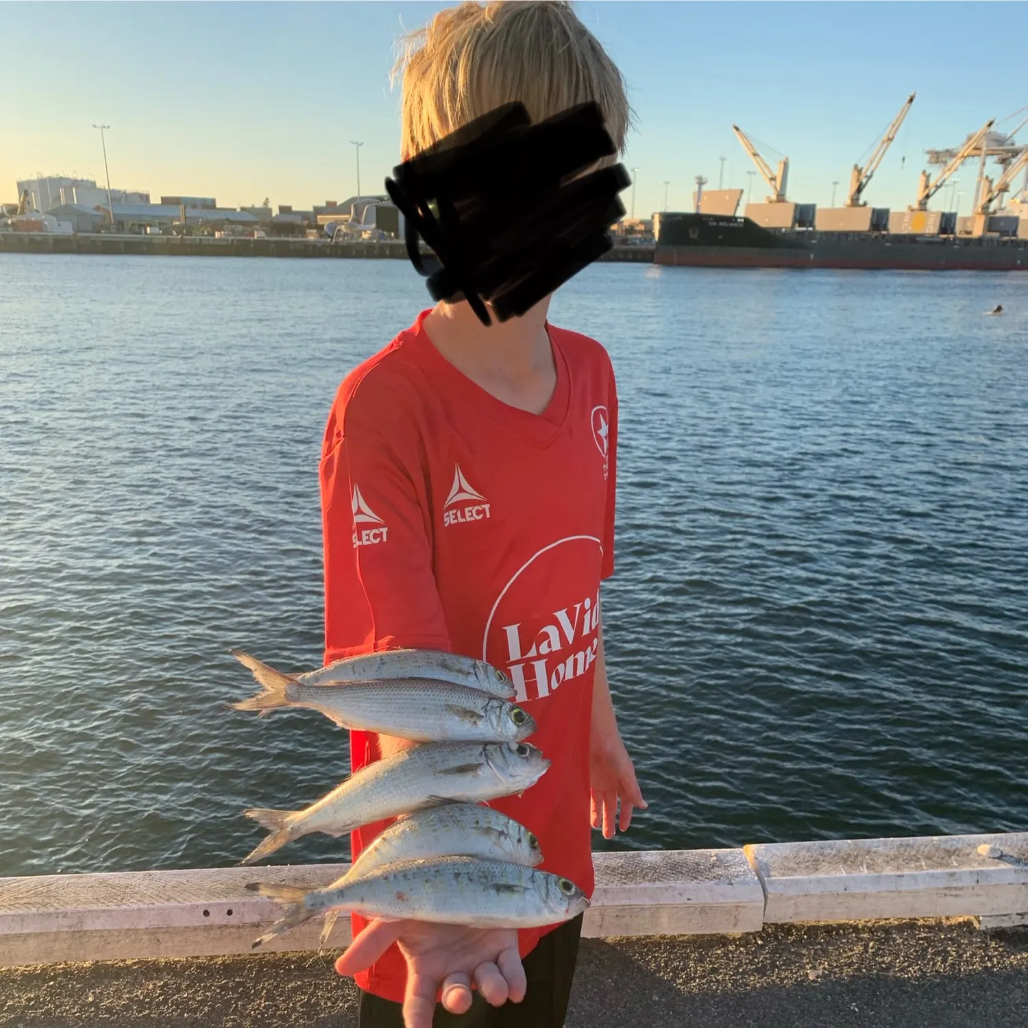 The most recent Australian ruff catches on Fishbrain