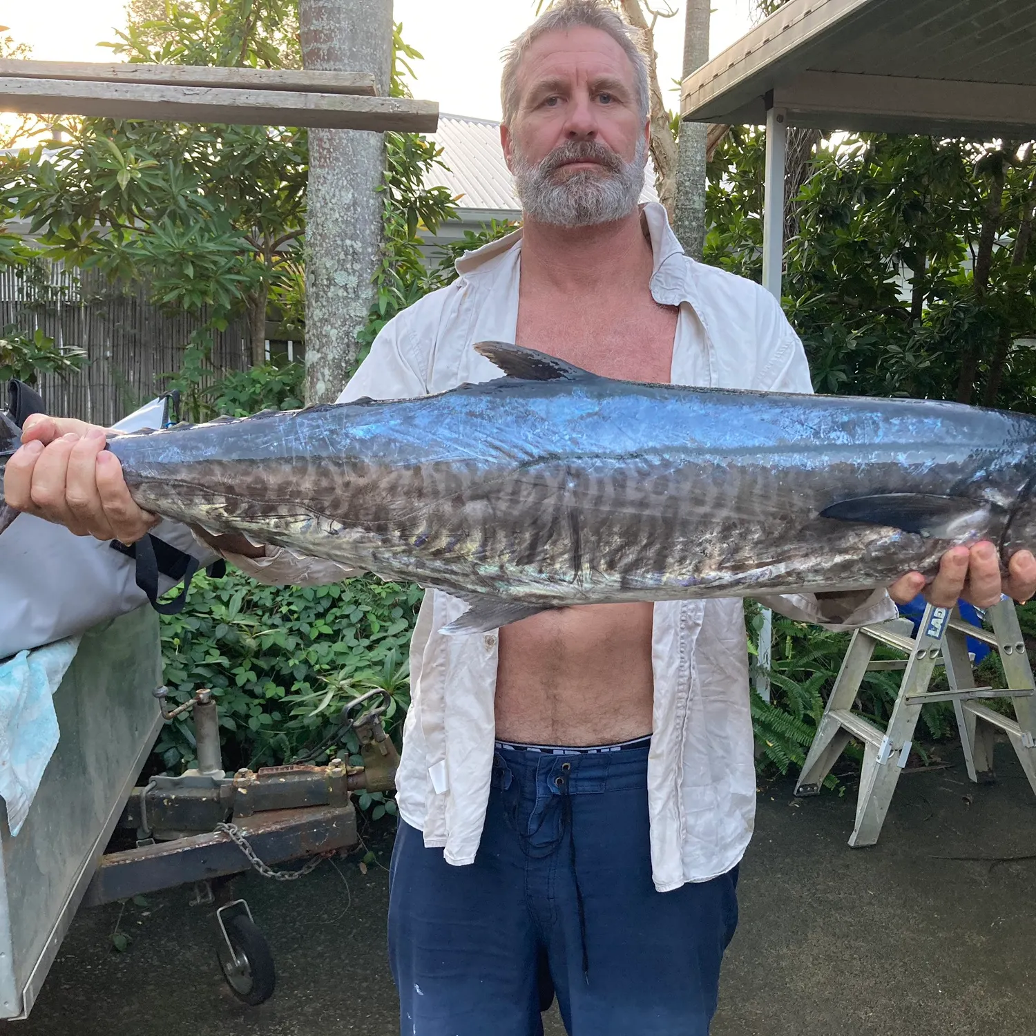 The most popular recent Narrow-barred Spanish mackerel catch on Fishbrain