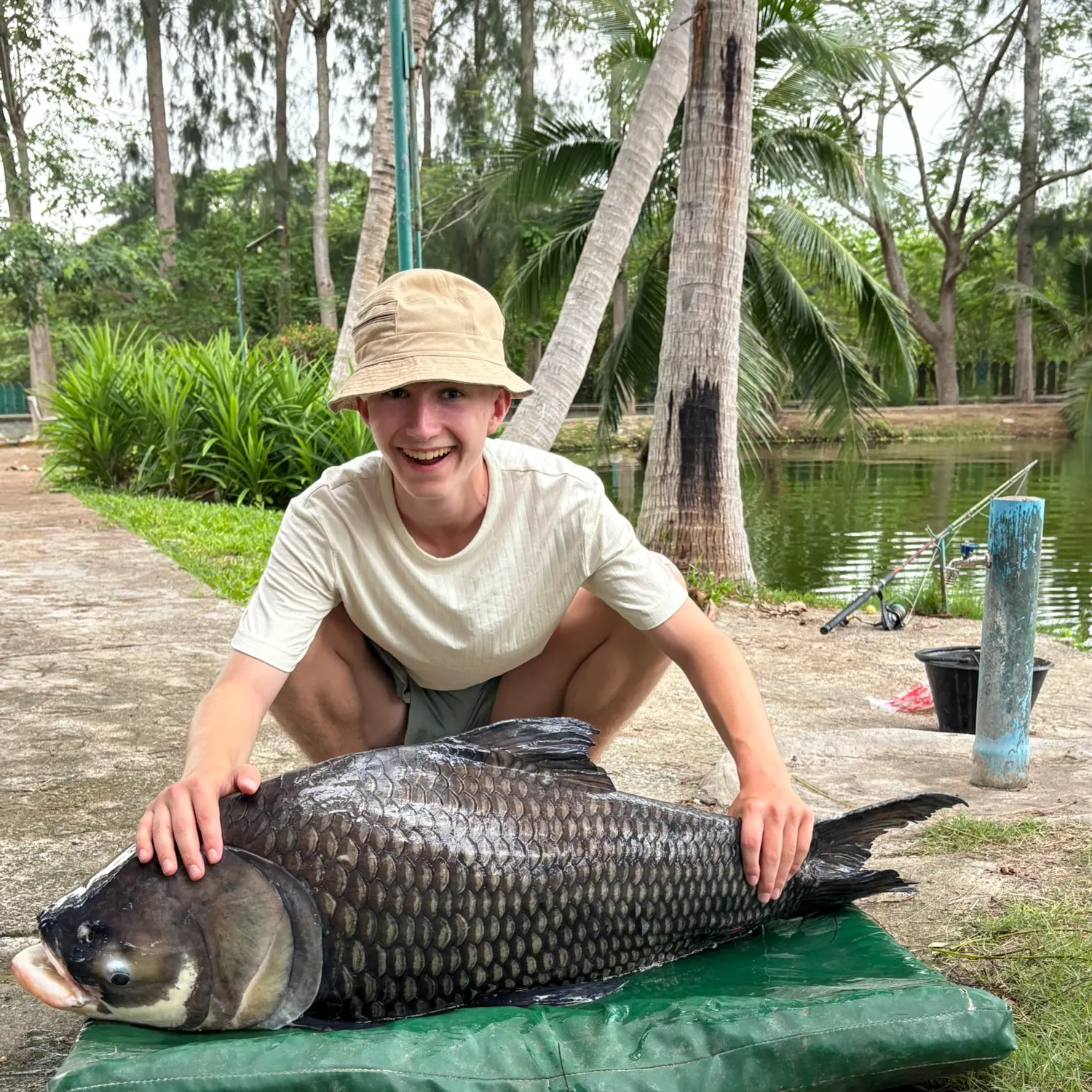 The most recent Siamese carp catches on Fishbrain