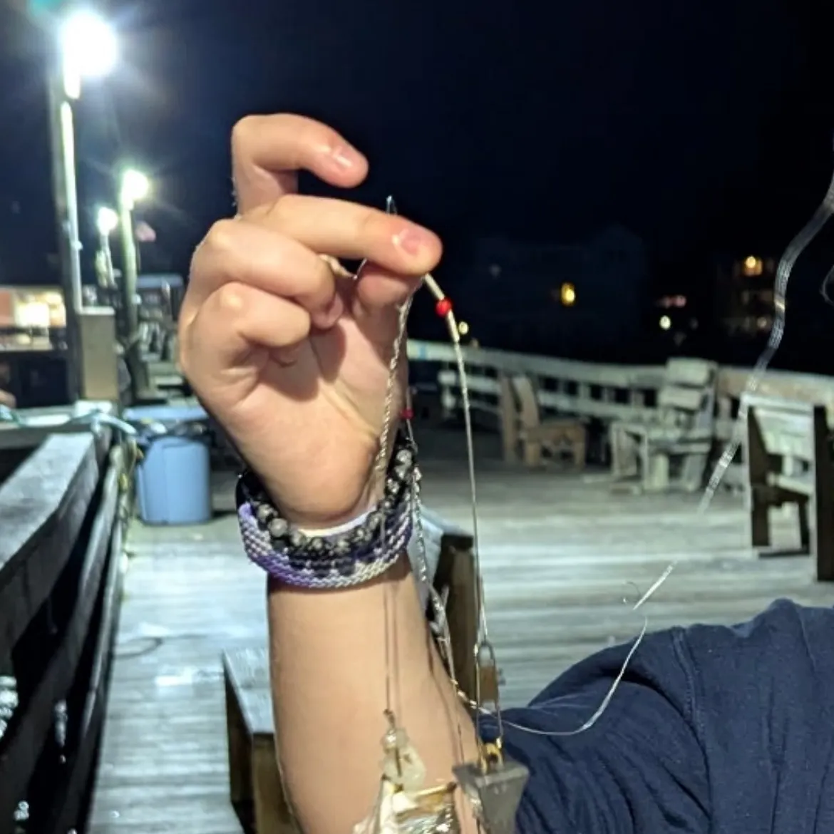 Gray weakfish caught on Fishbrain