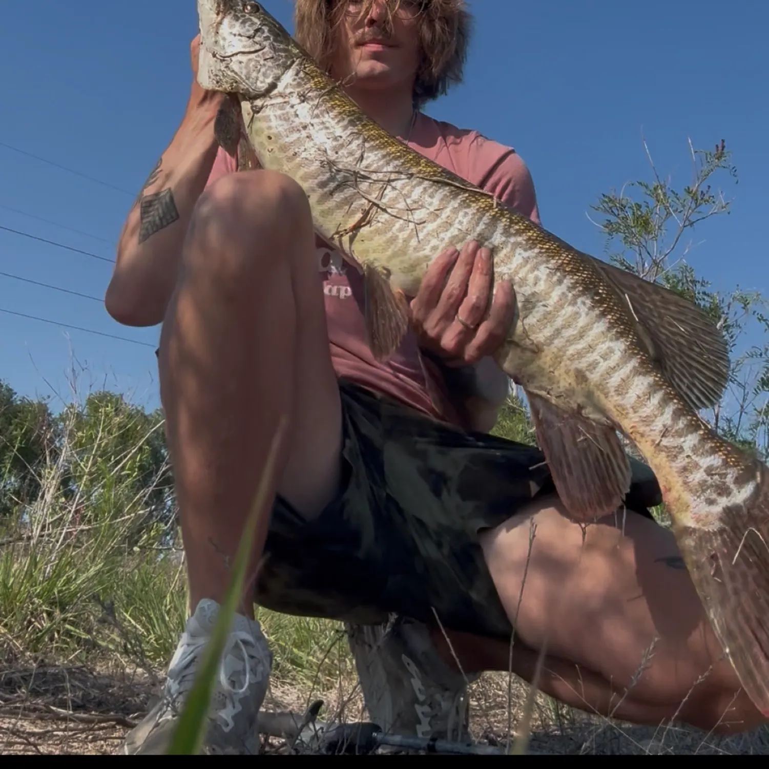 most liked catch image