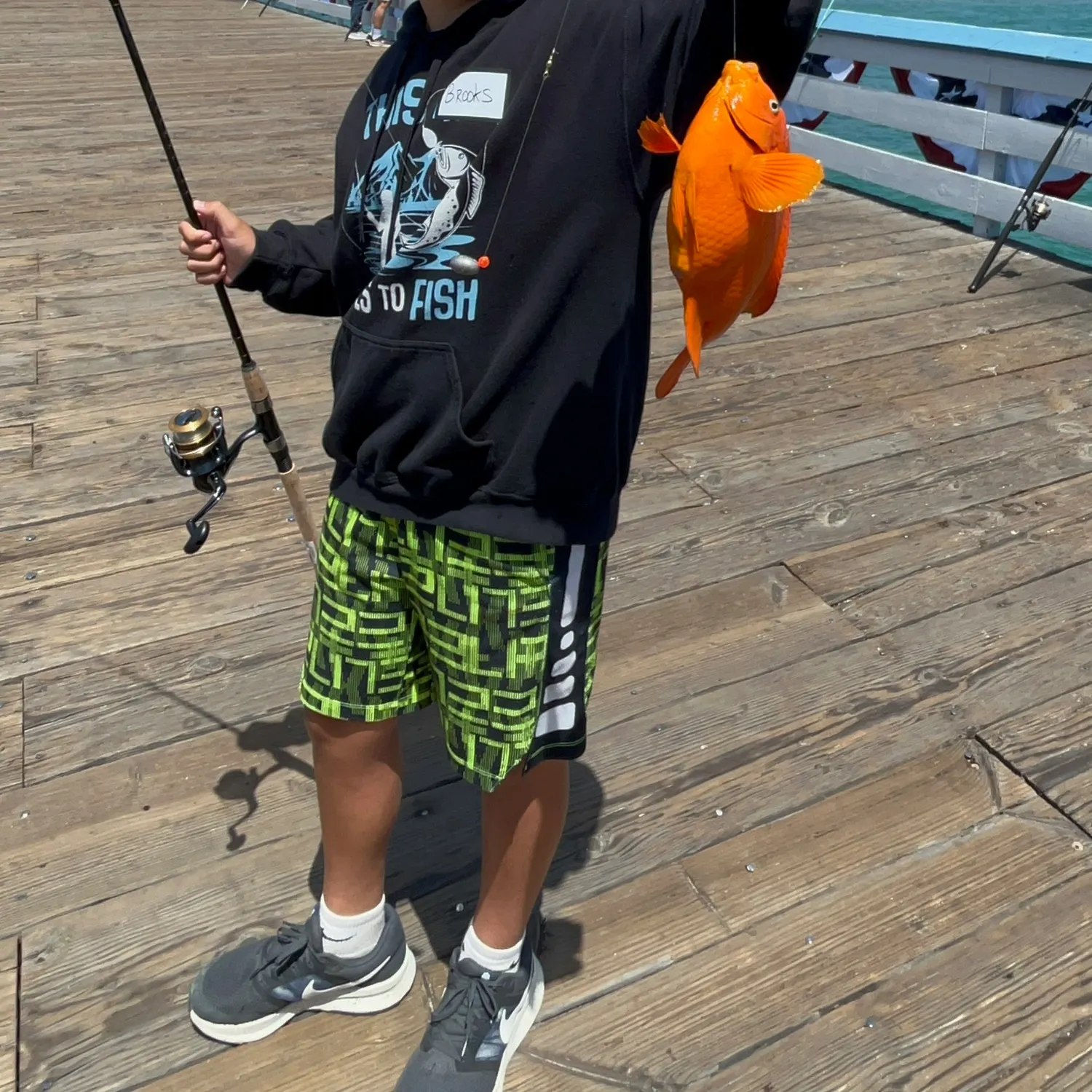 The most recent Garibaldi damselfish catches on Fishbrain