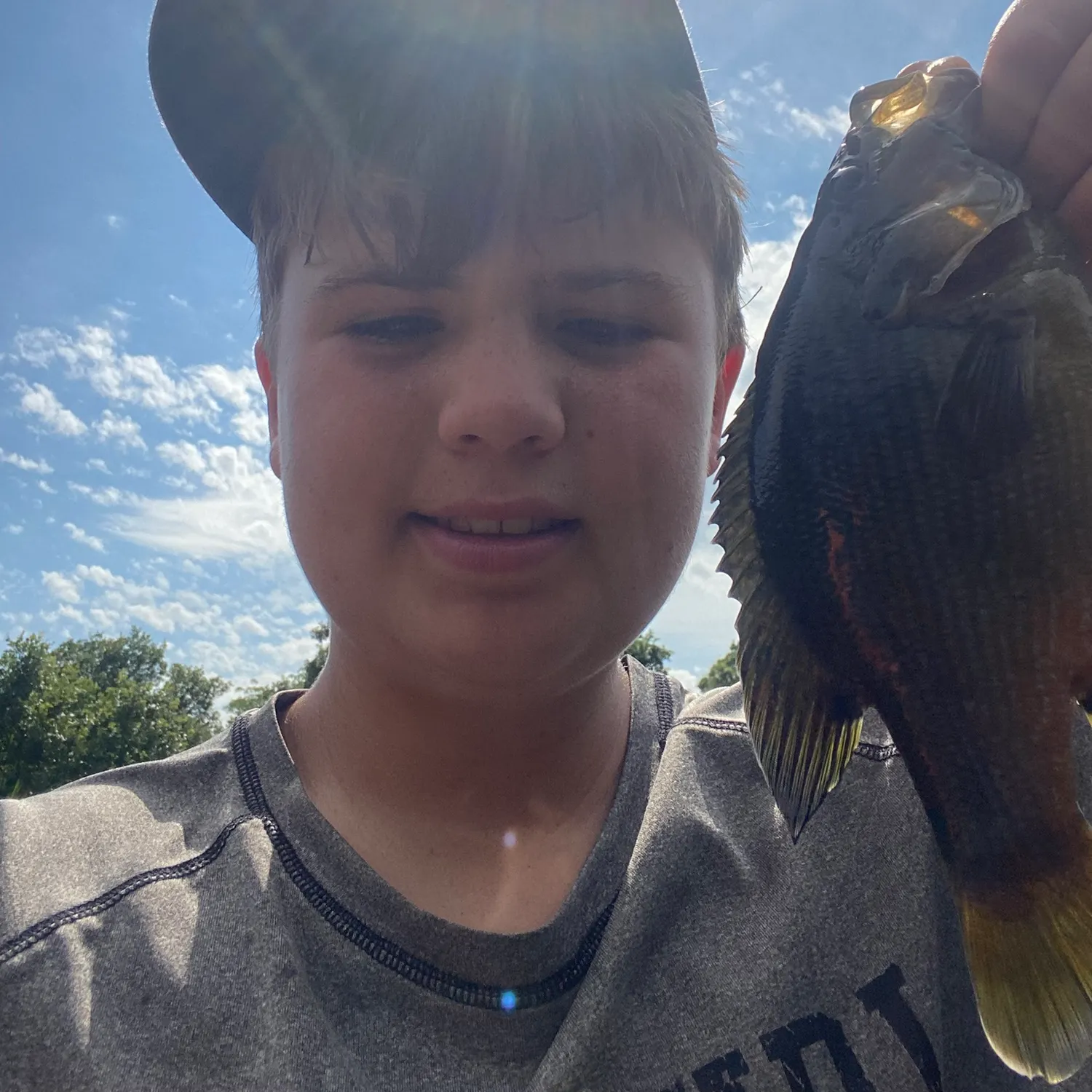 The most recent Green sunfish catches on Fishbrain