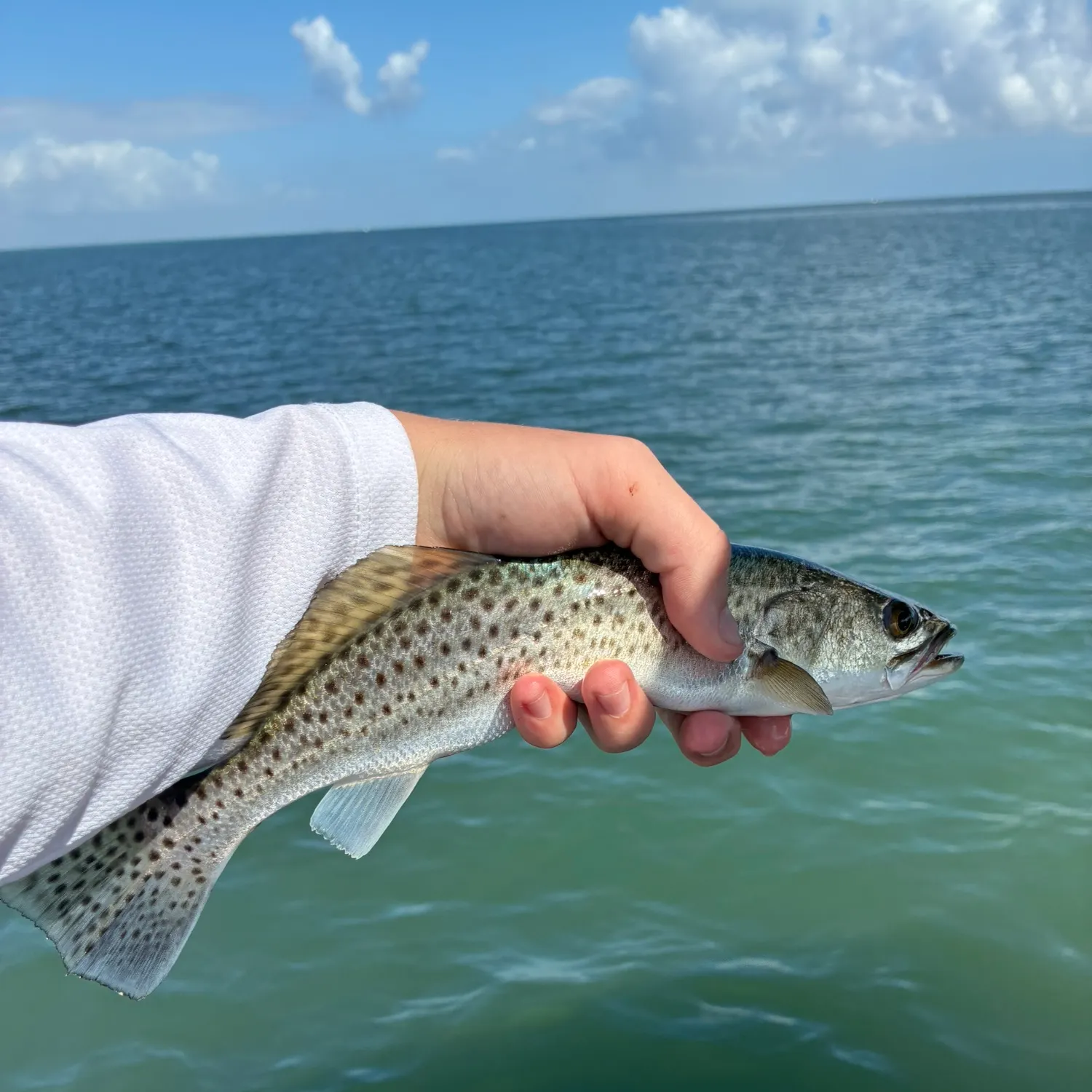 Spotted seatrout caught on Fishbrain