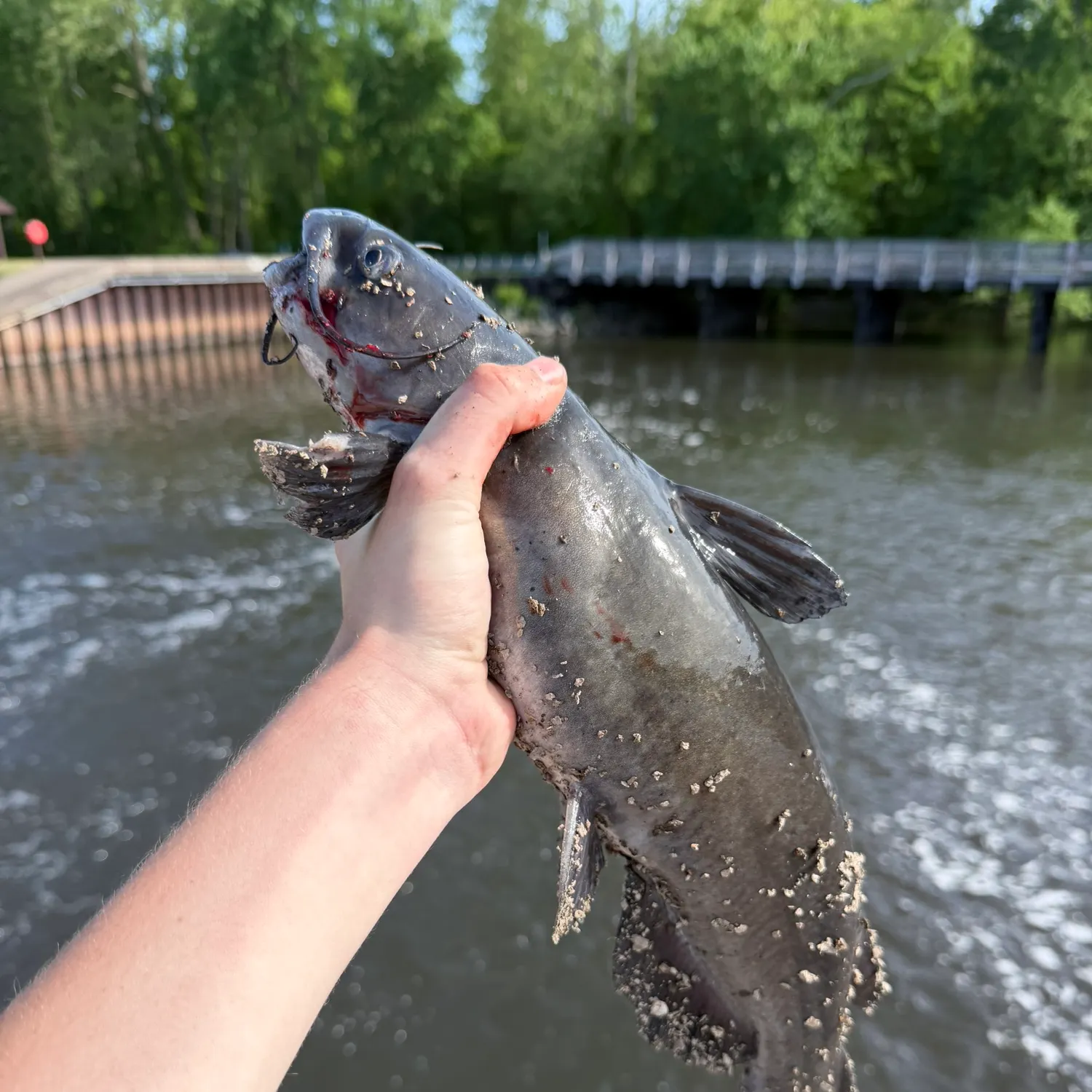 catch