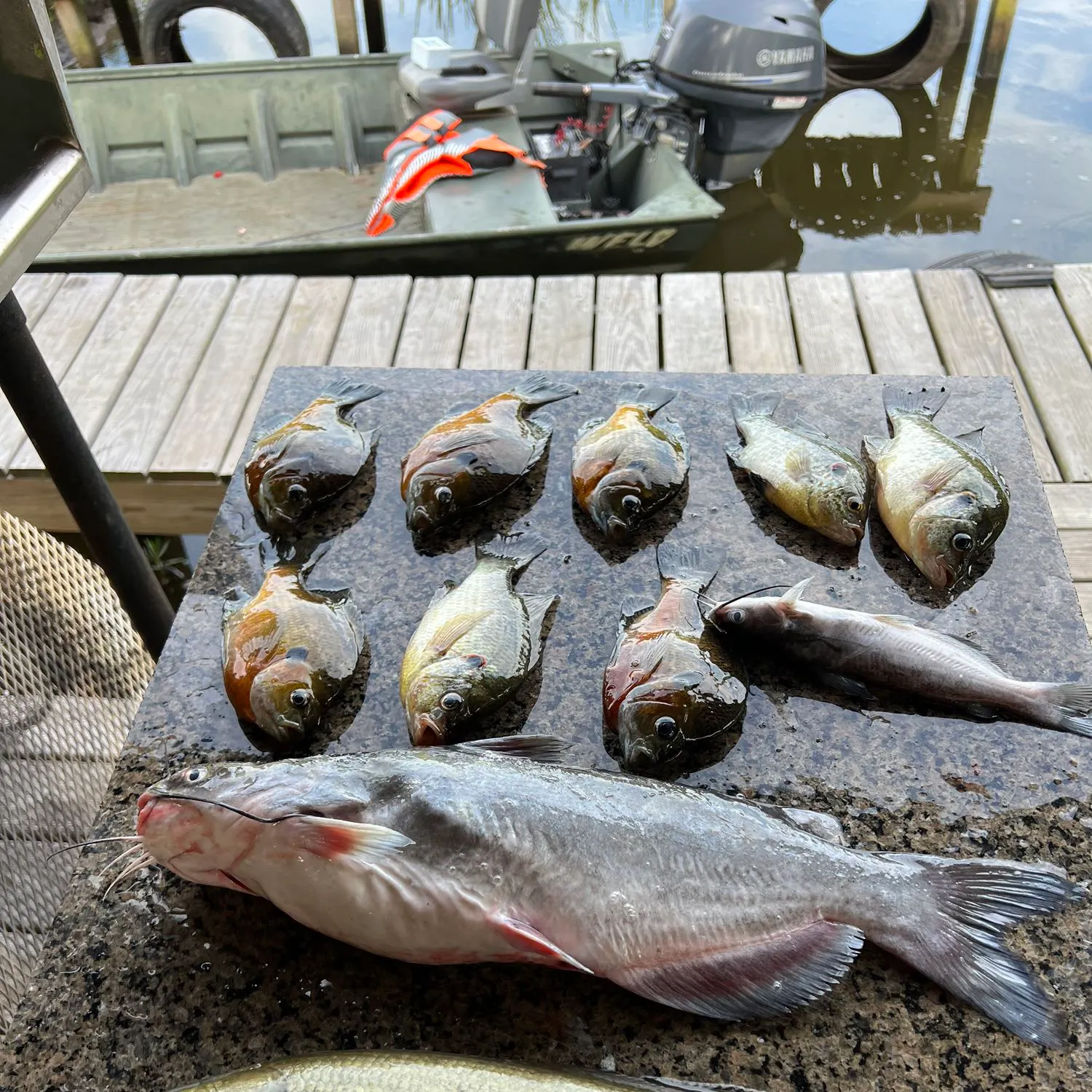 recently logged catches