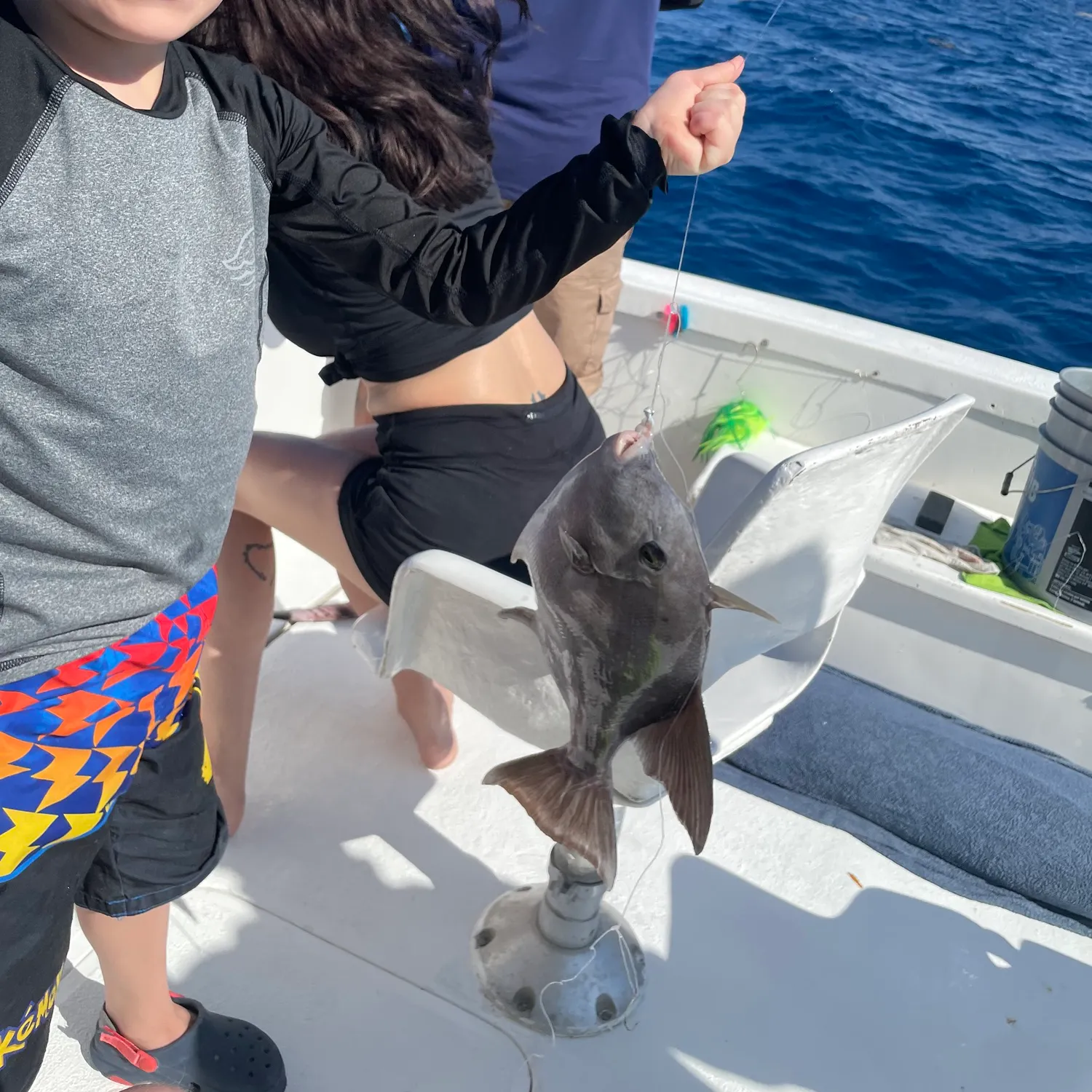 The most recent Lookdown catches on Fishbrain