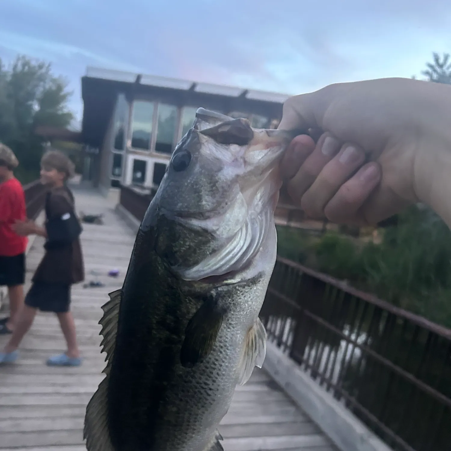 catch