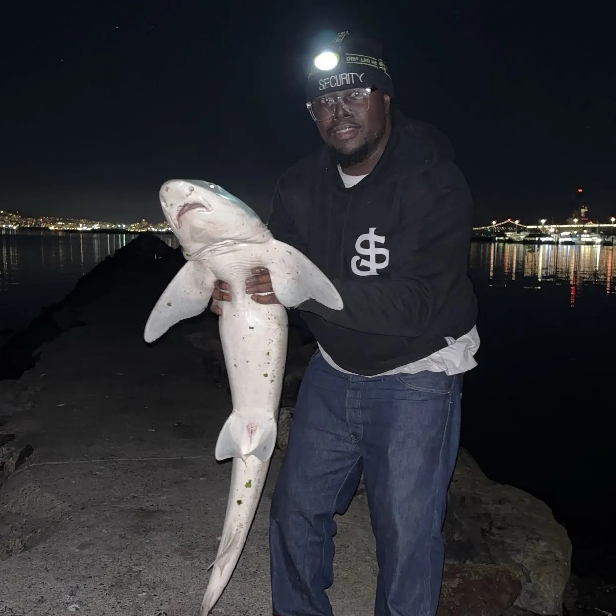 The most recent Leopard shark catches on Fishbrain