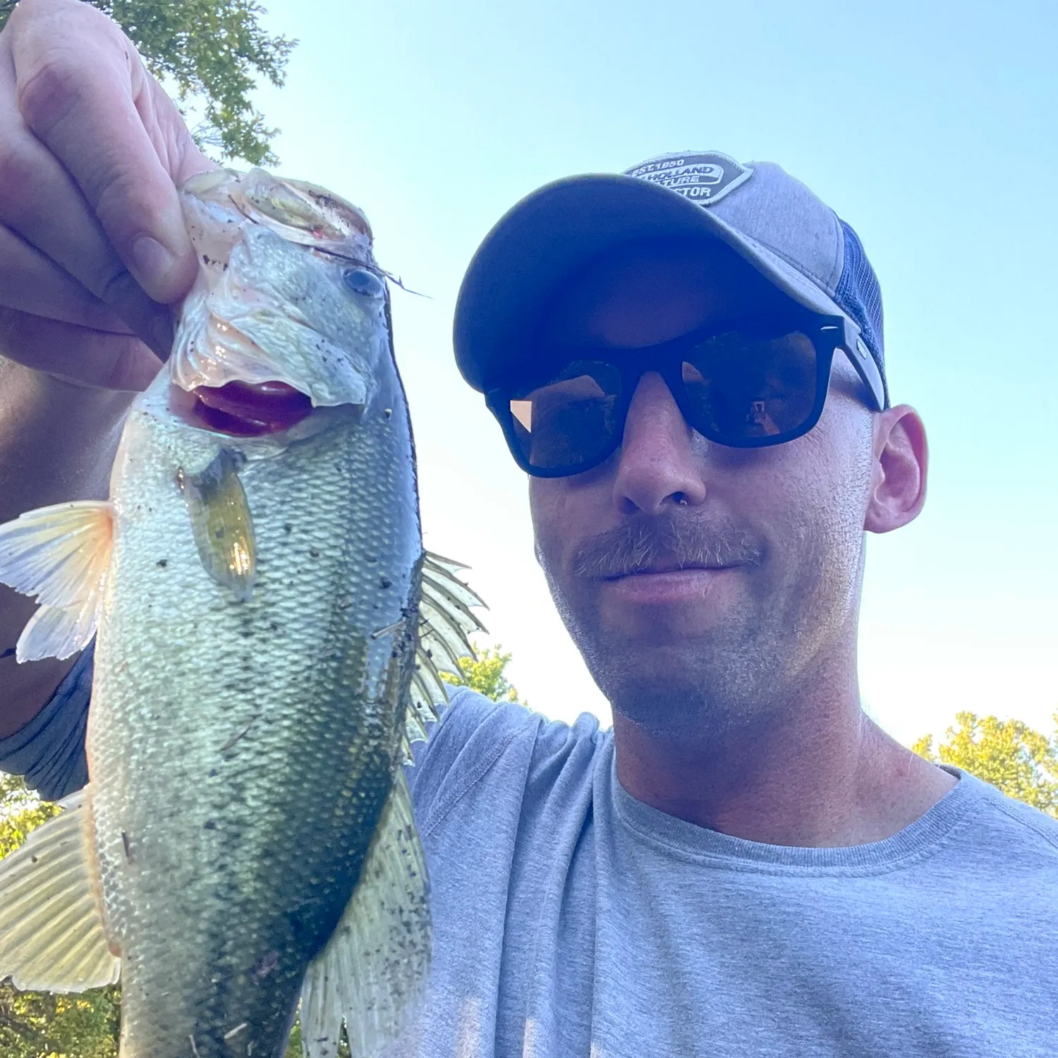 Largemouth bass caught on Fishbrain