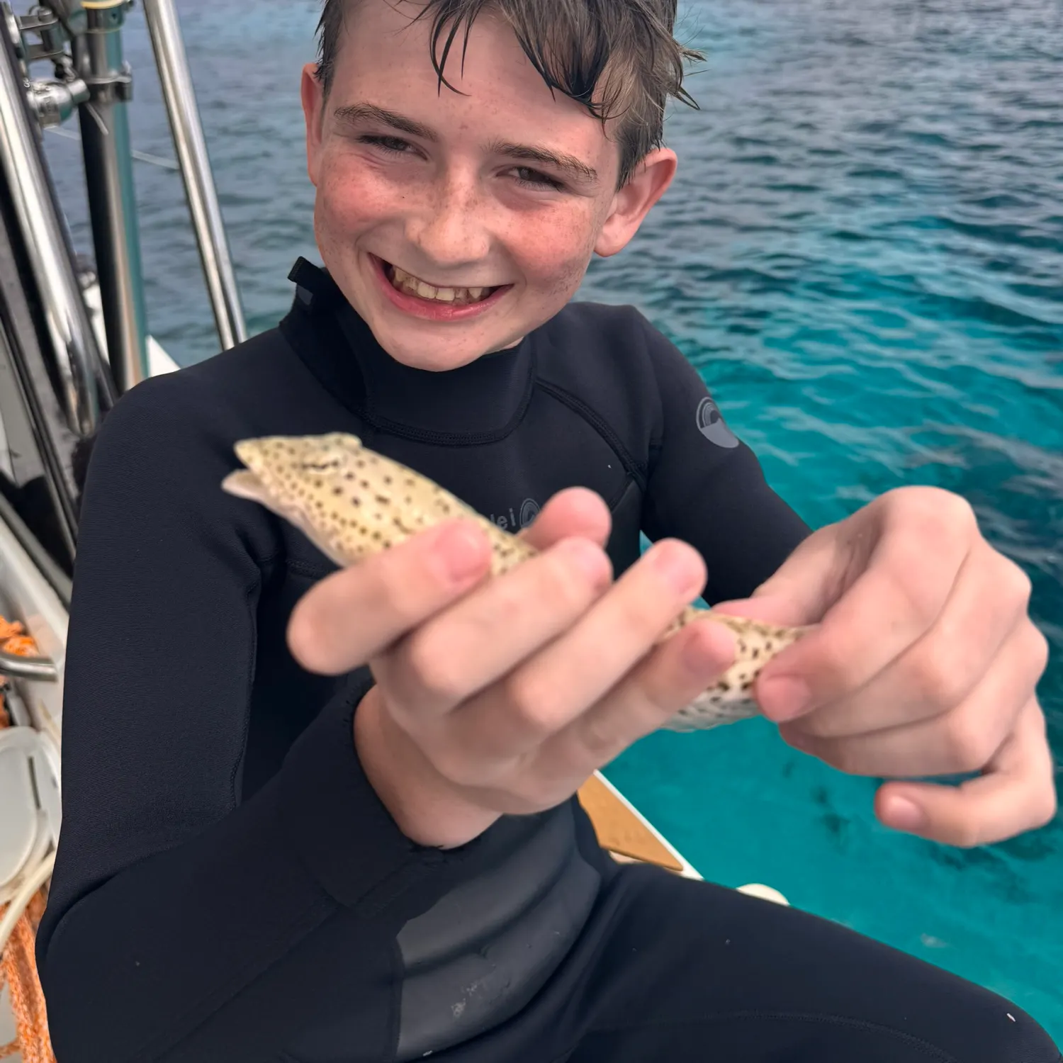 The most recent Speckled sandperch catches on Fishbrain