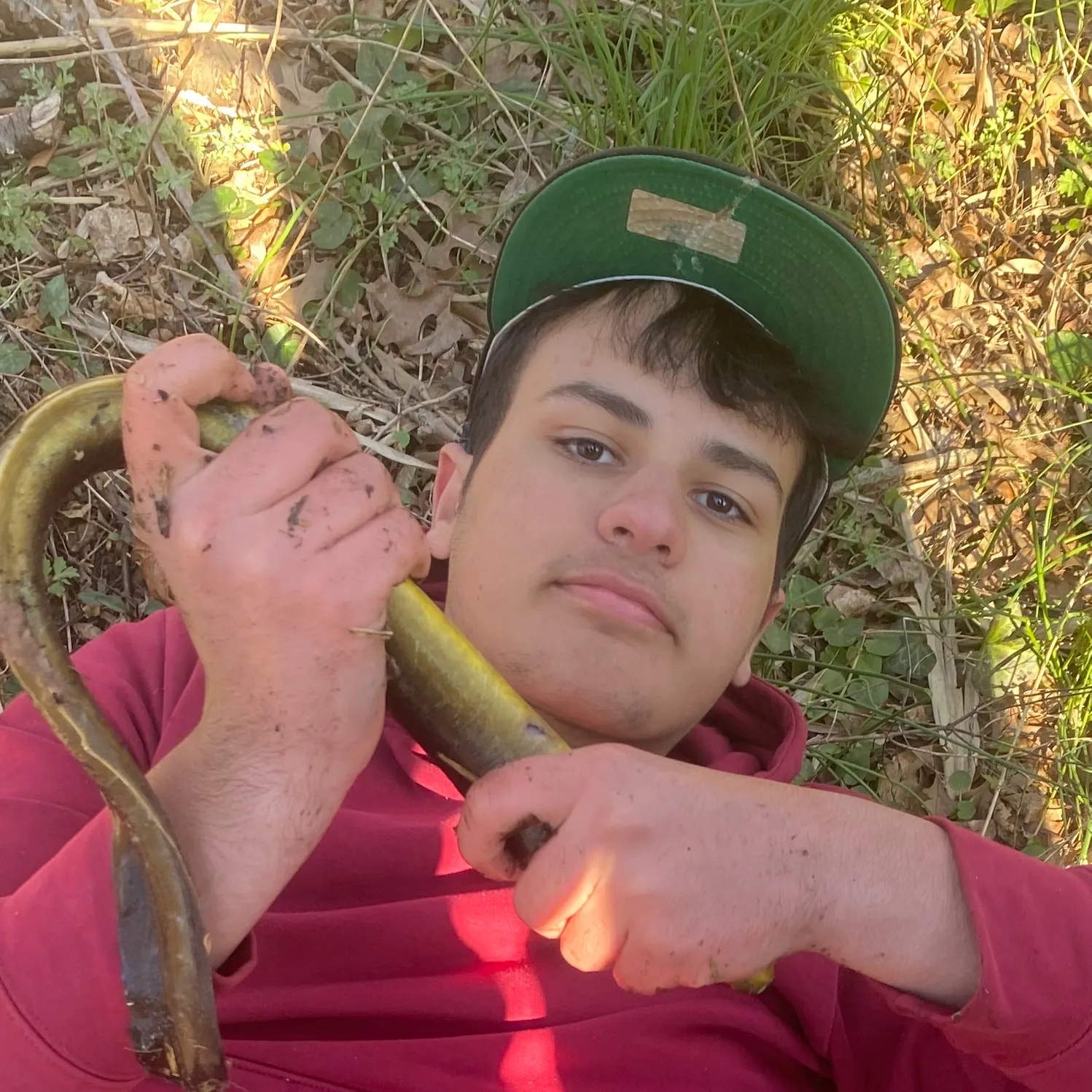 The most recent American eel catches on Fishbrain