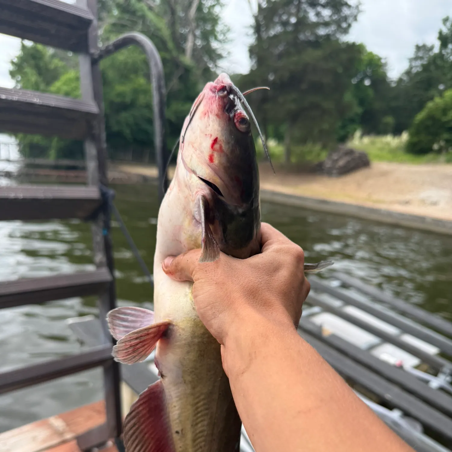 catch